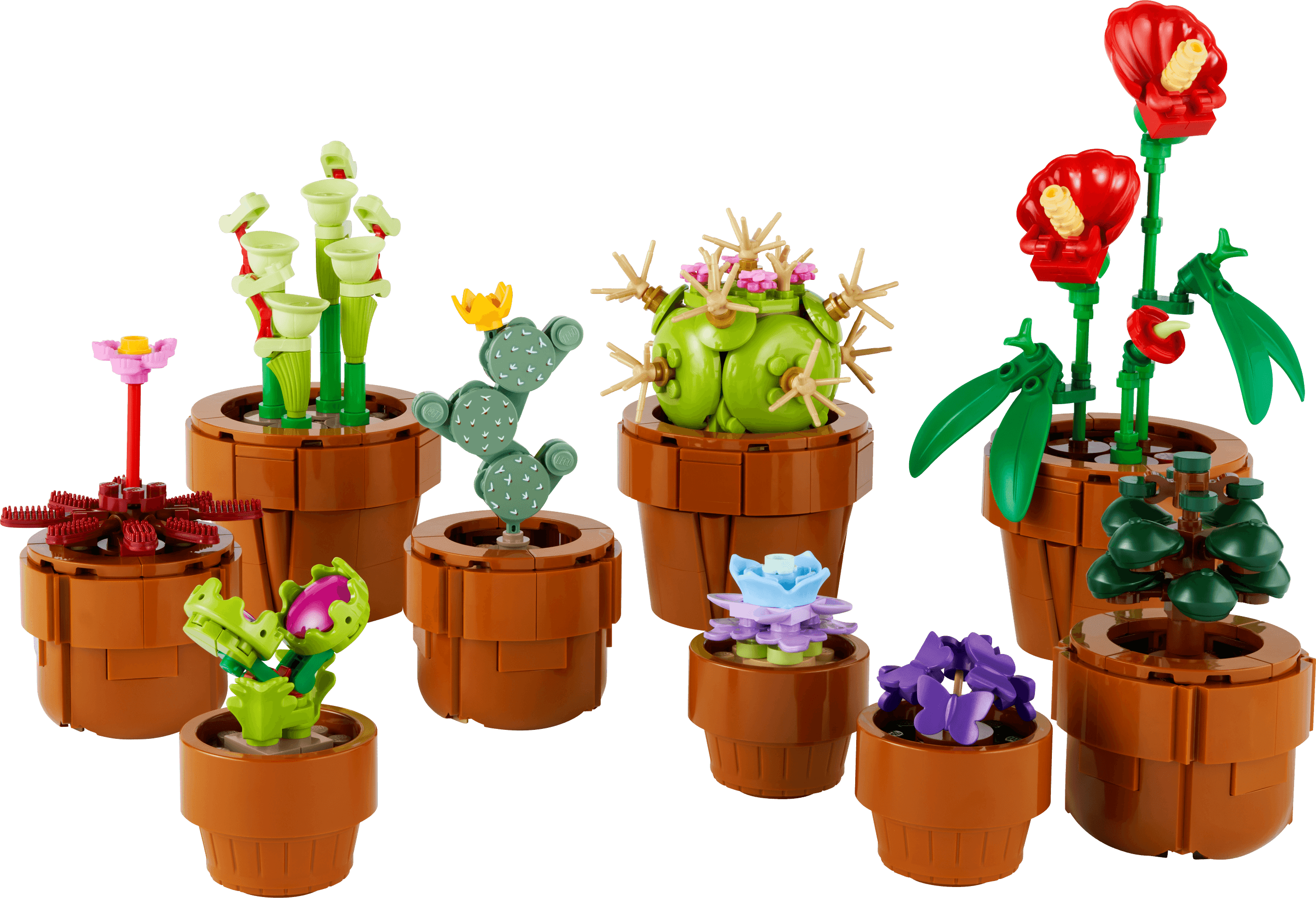 Tiny Plants