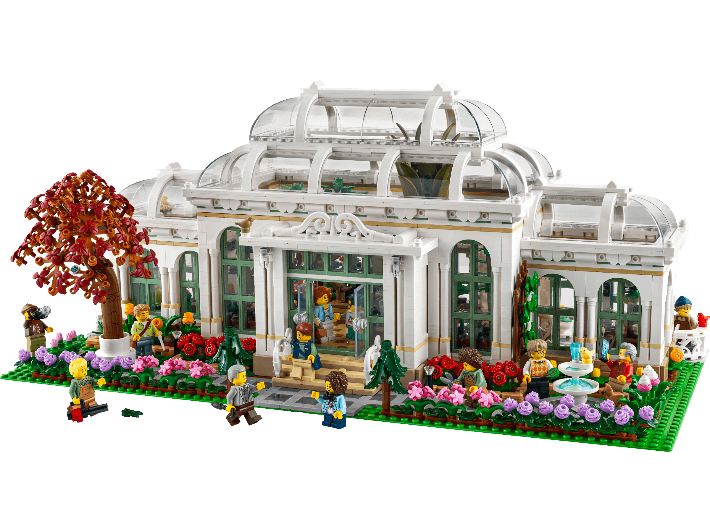 The Botanical Garden