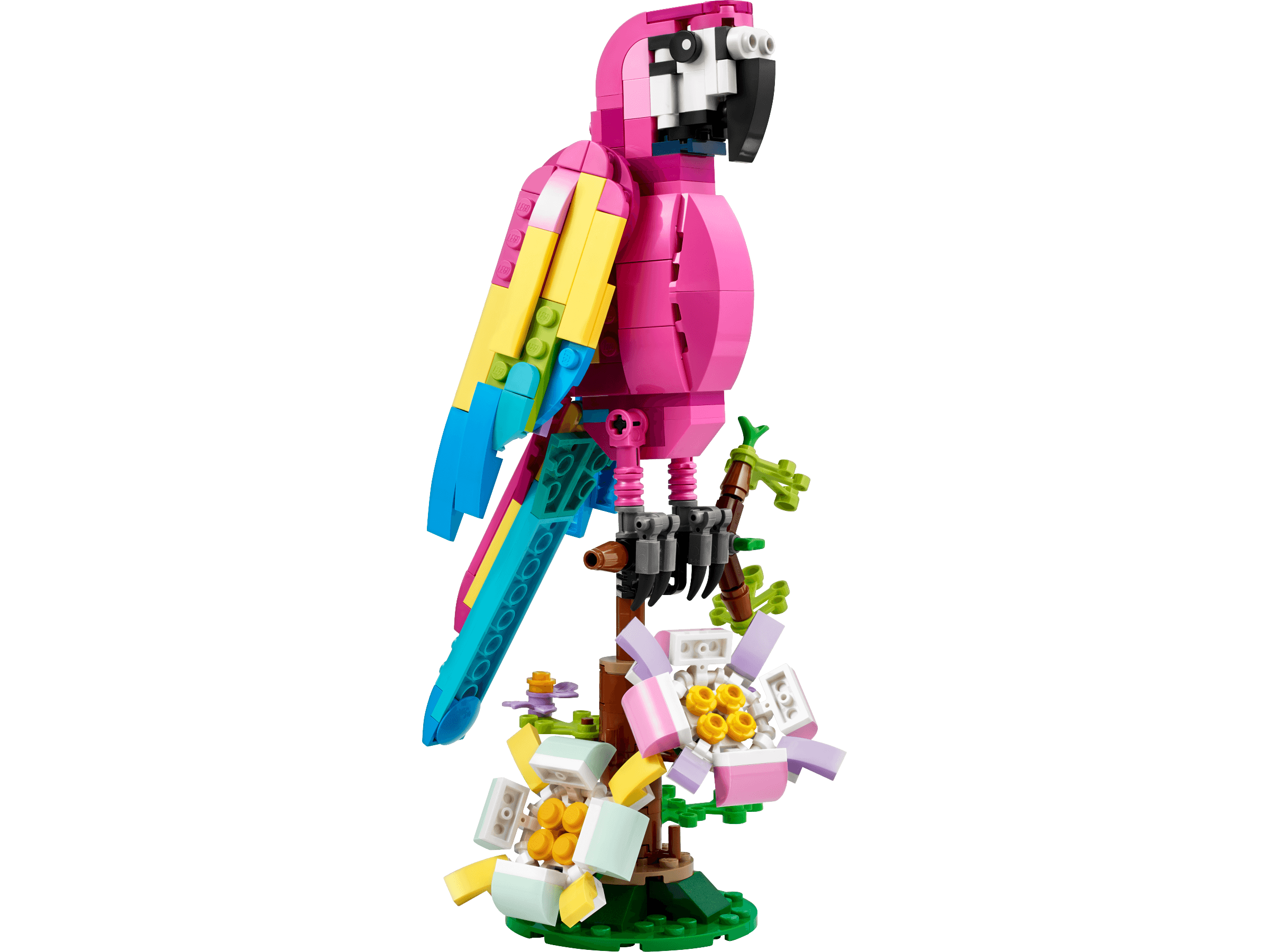 Exotic Pink Parrot