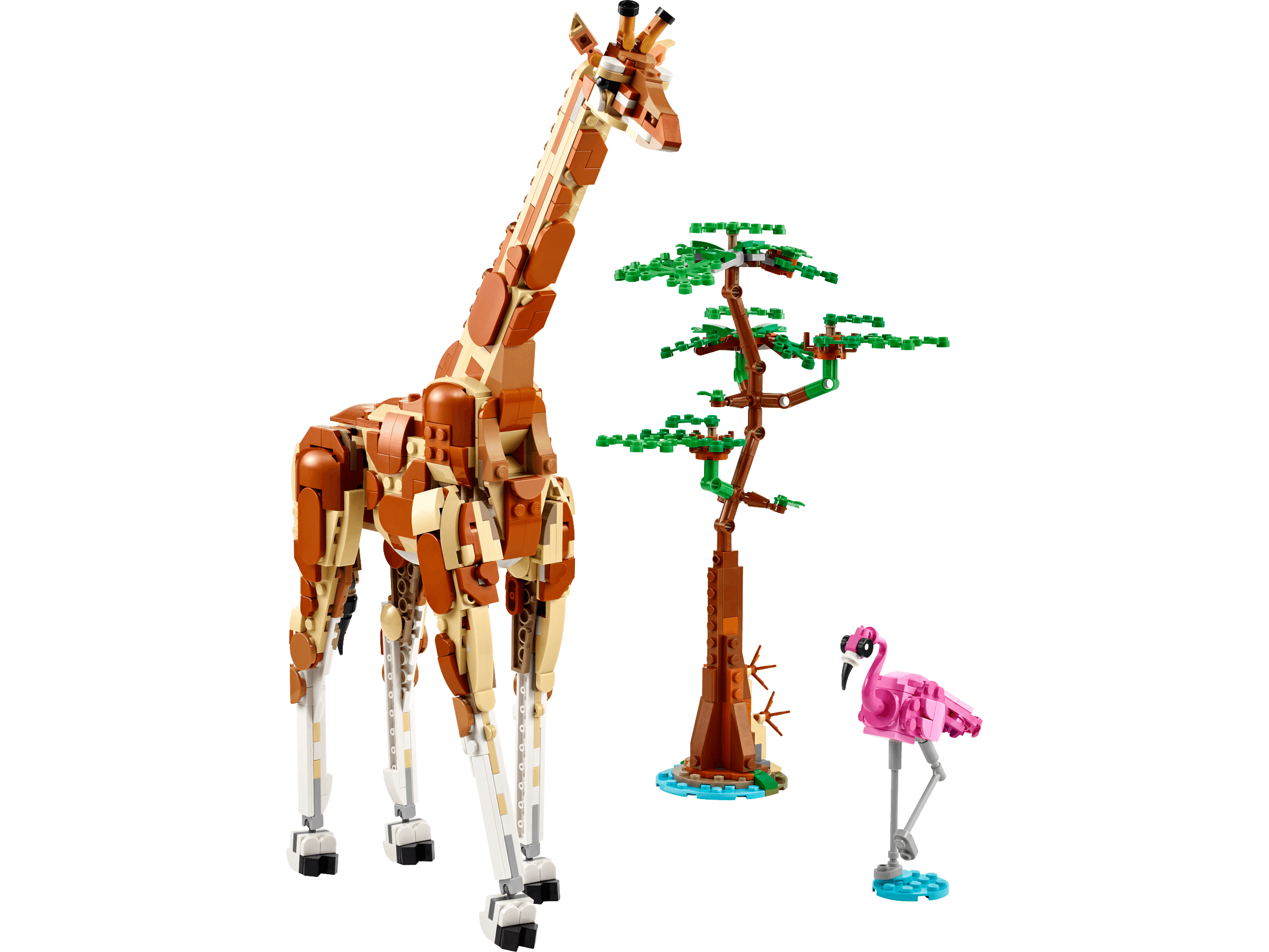 Wild Safari Animals