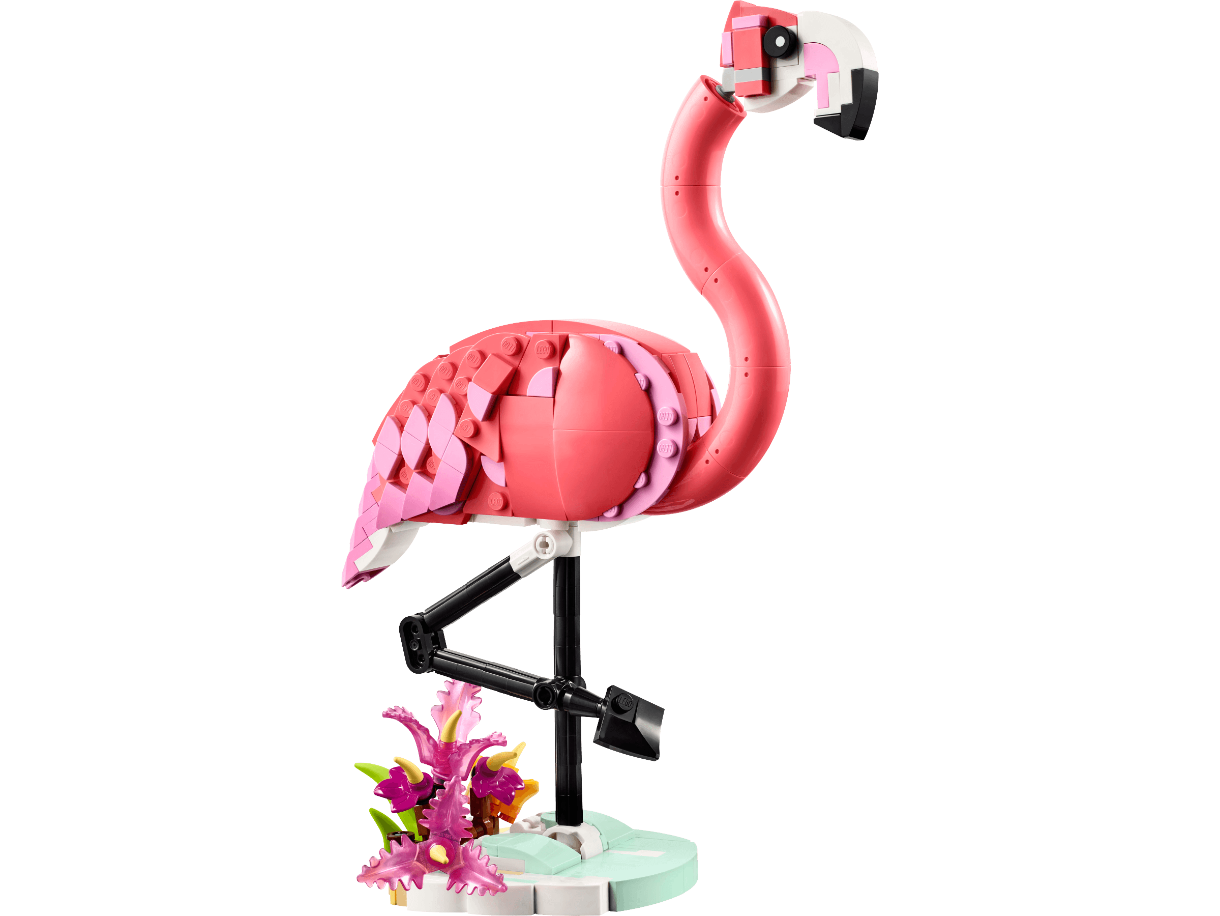 Wild Animals: Pink Flamingo