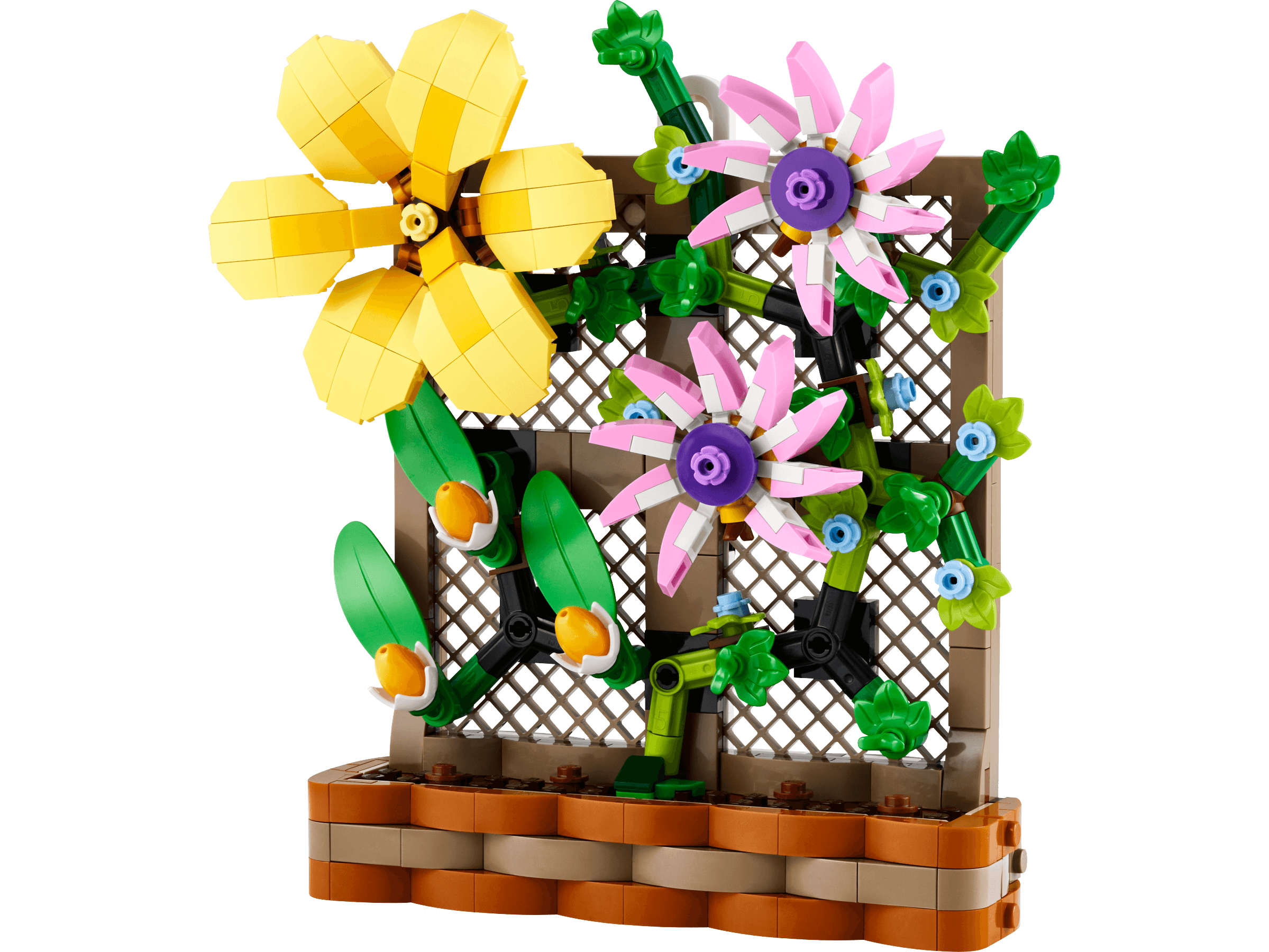 Flower Trellis Display