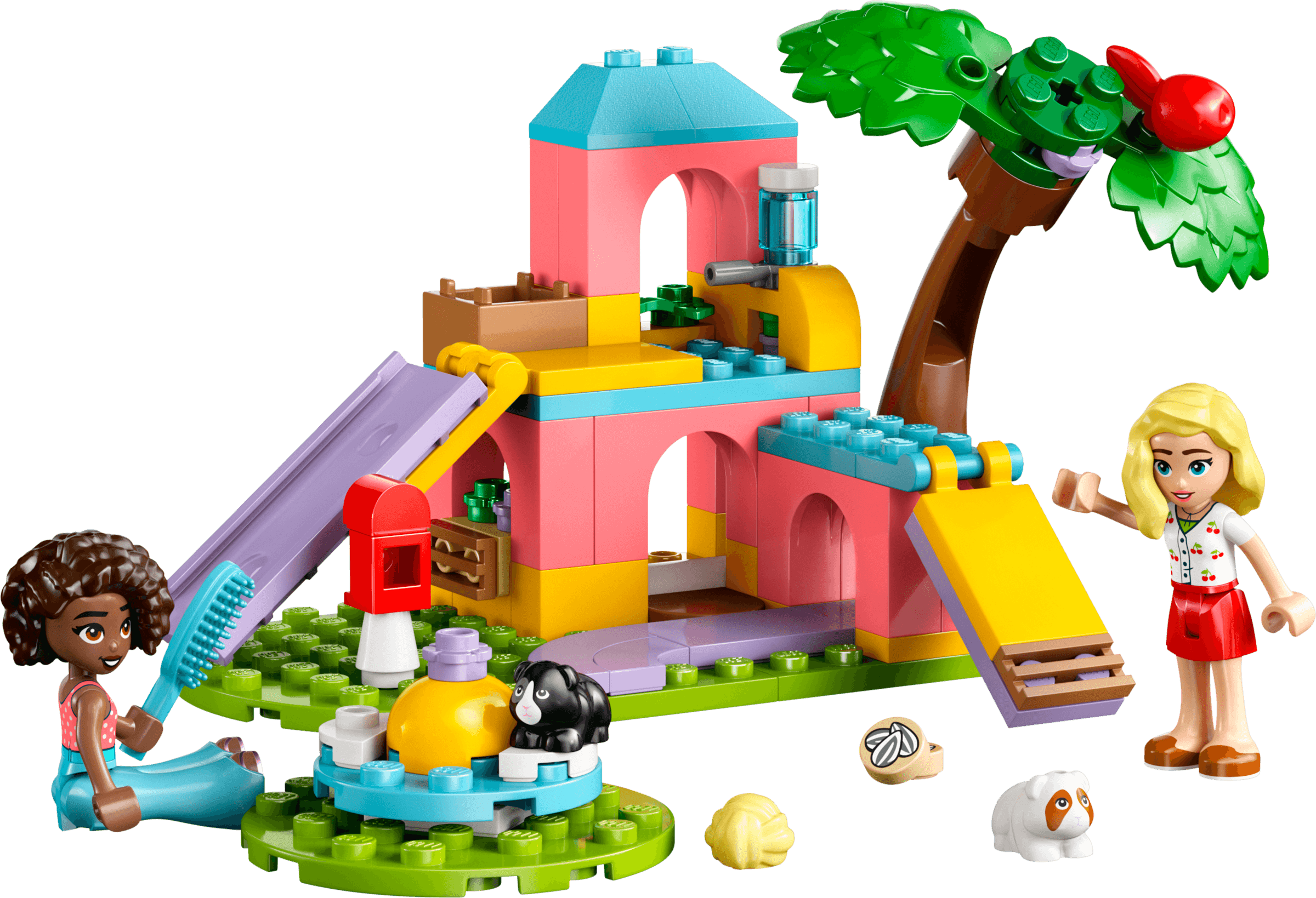 Guinea Pig Playground