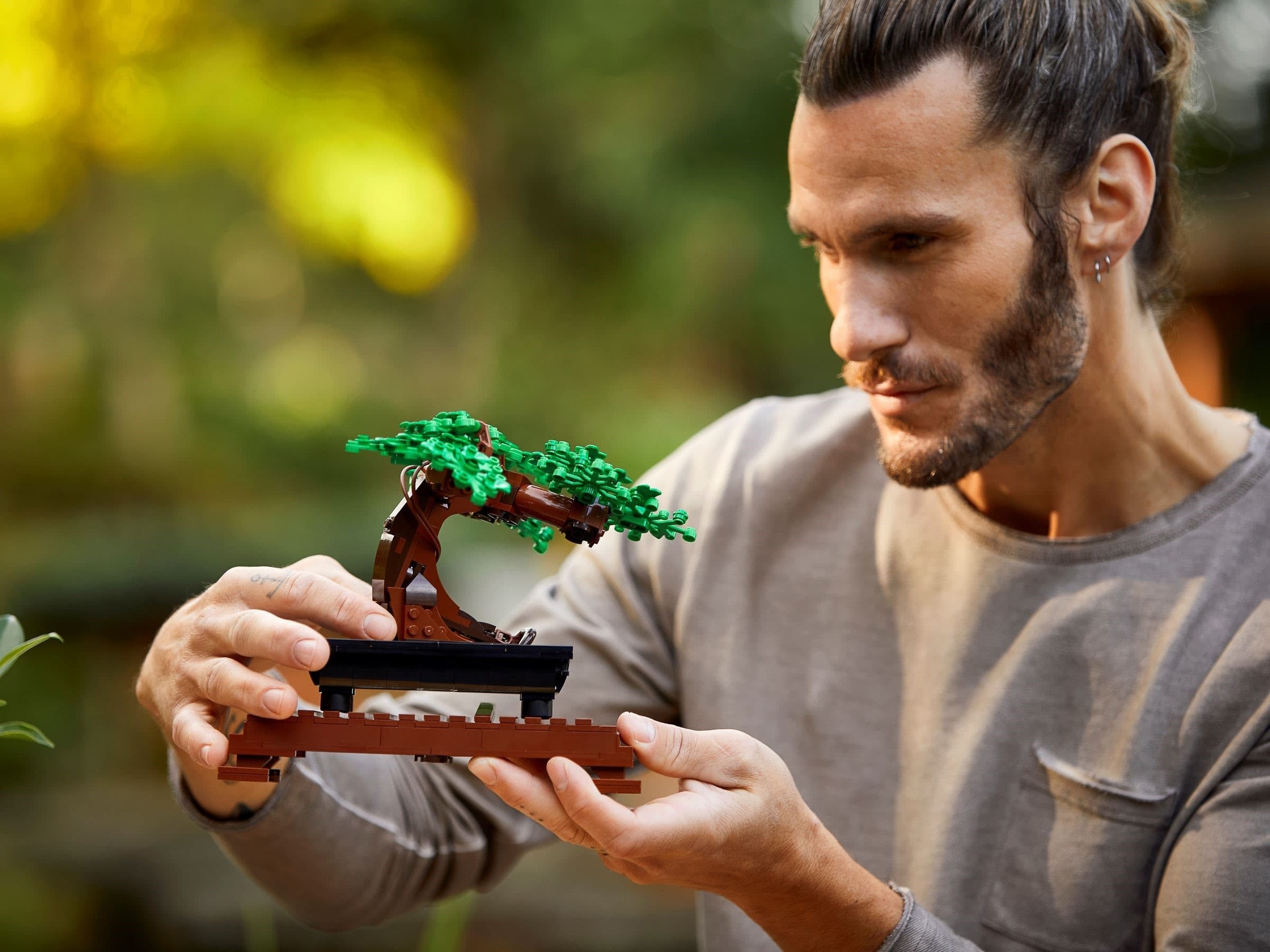 Bonsai Tree