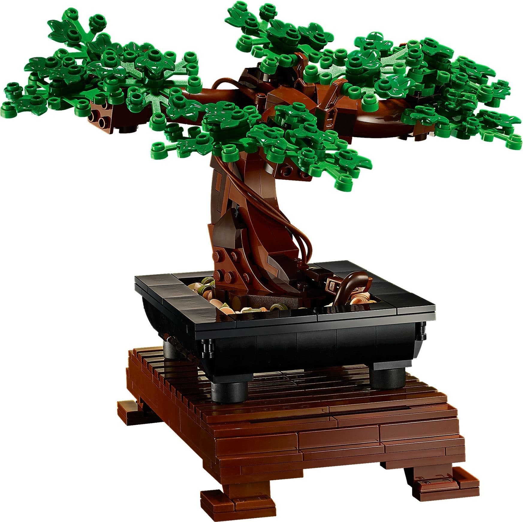 Bonsai Tree