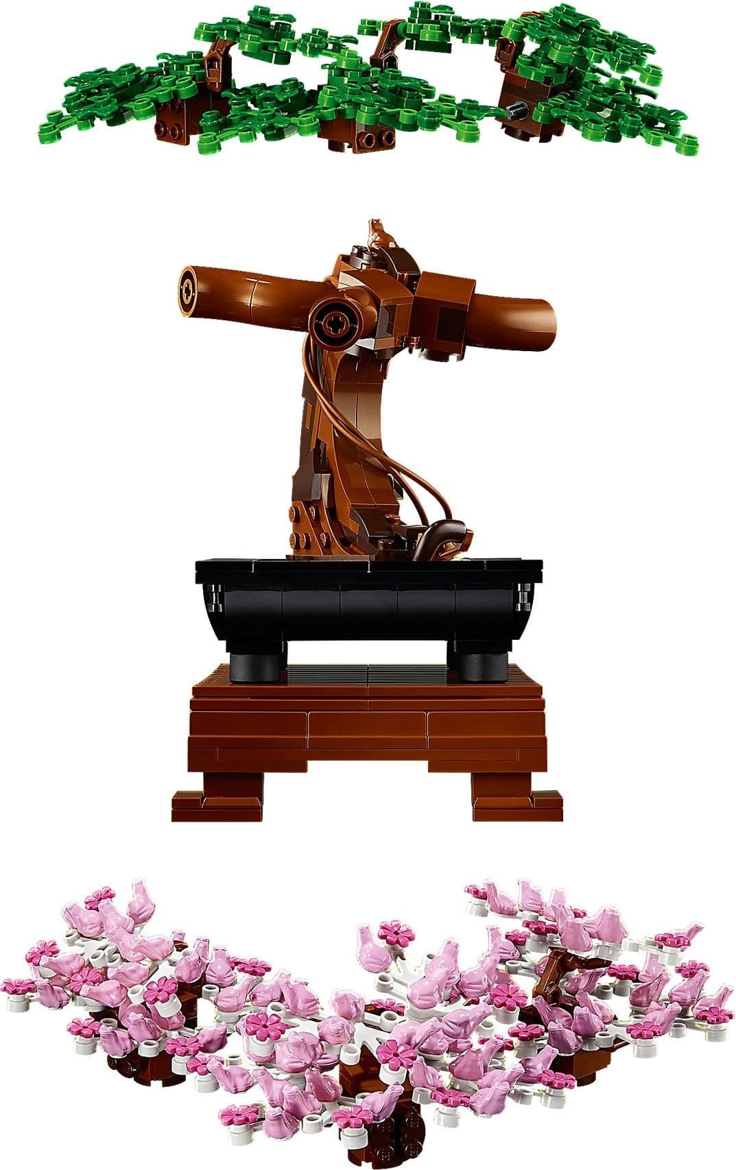 Bonsai Tree
