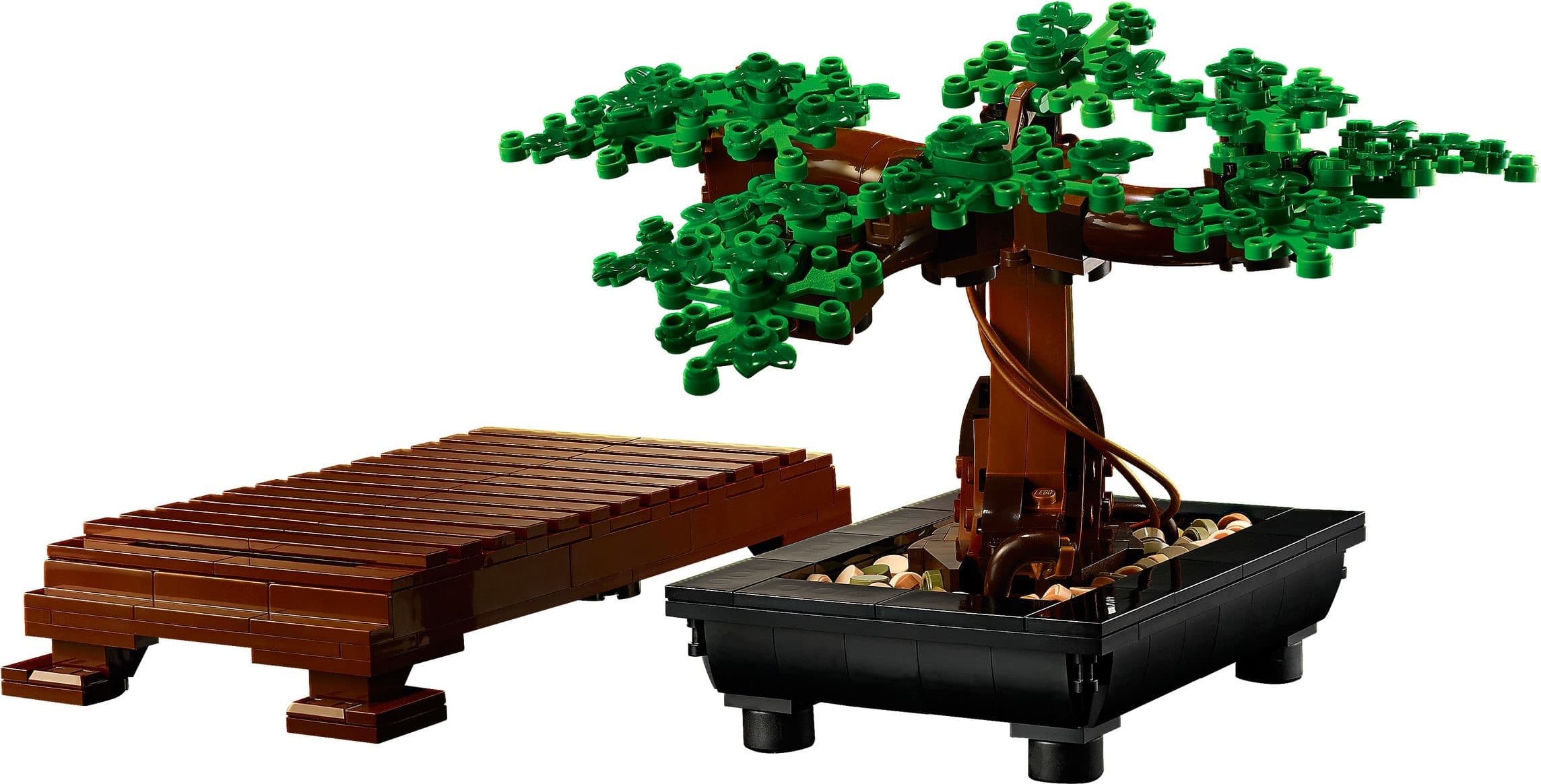 Bonsai Tree