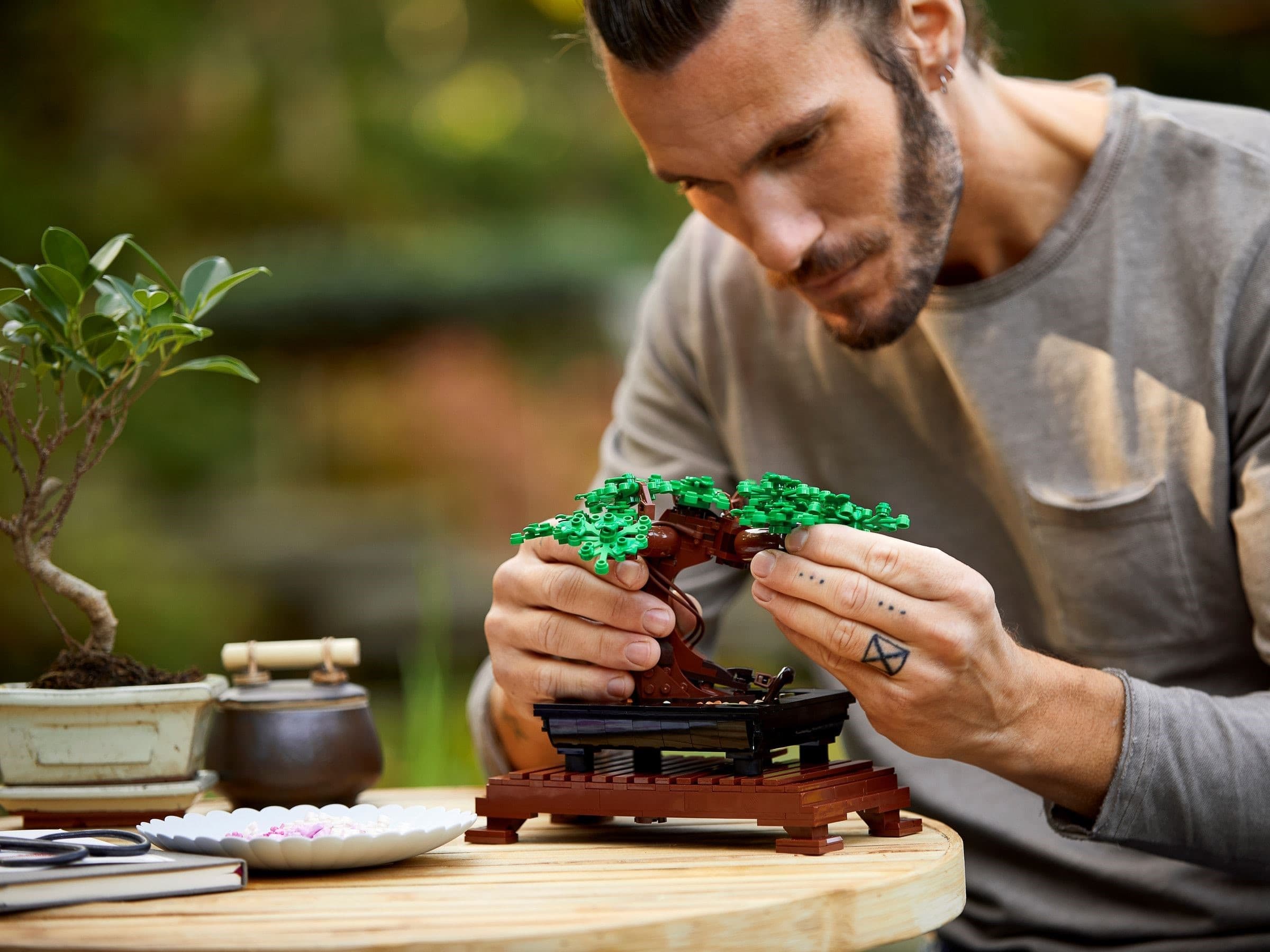 Bonsai Tree