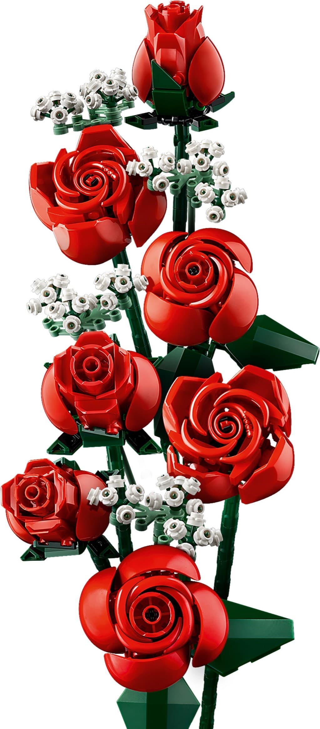 Bouquet of Roses