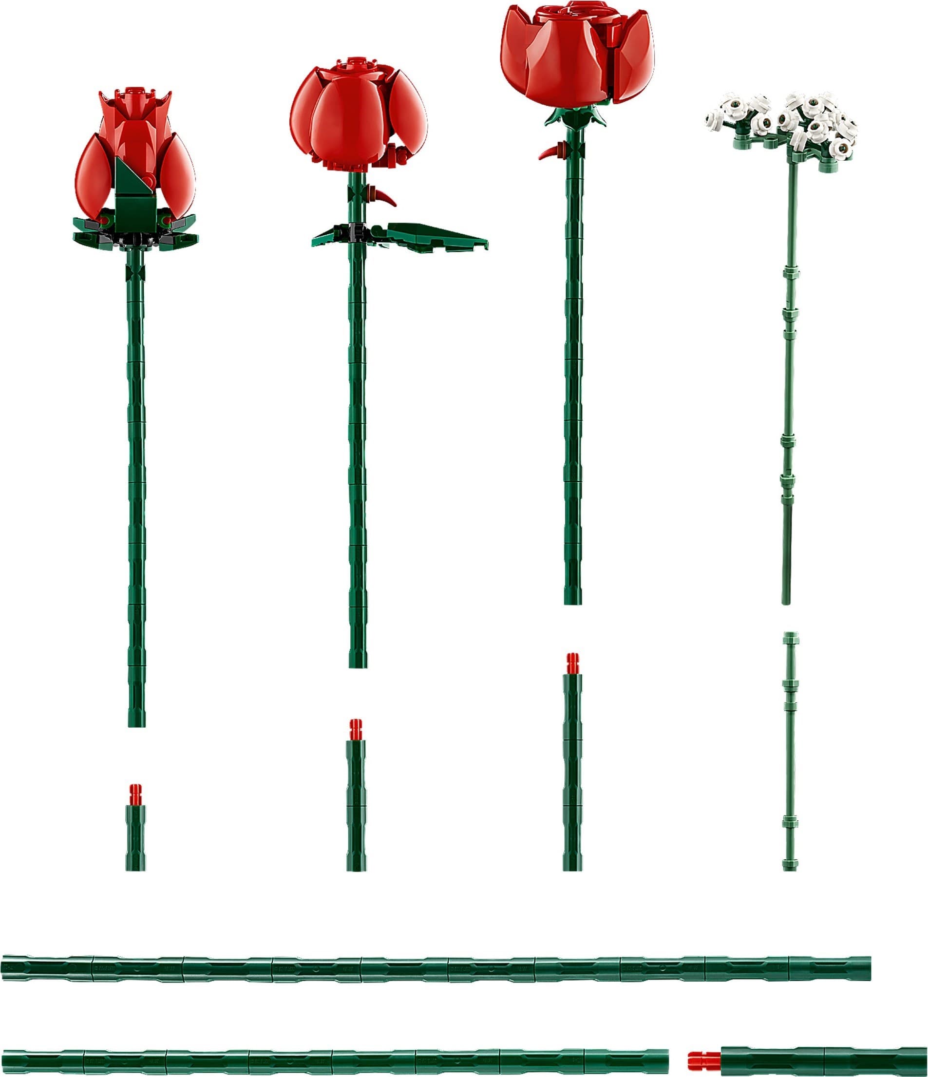 Bouquet of Roses