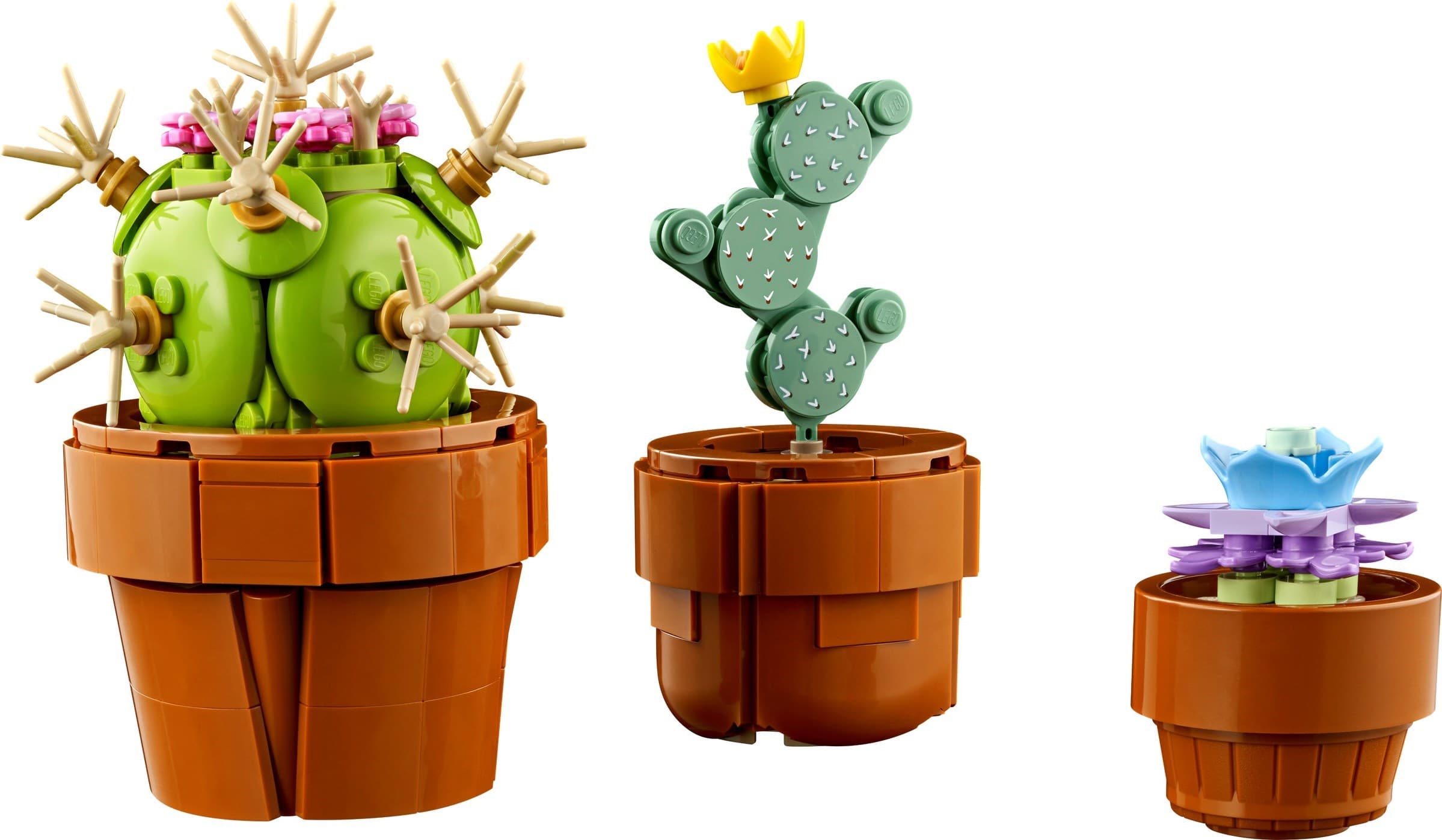 Tiny Plants