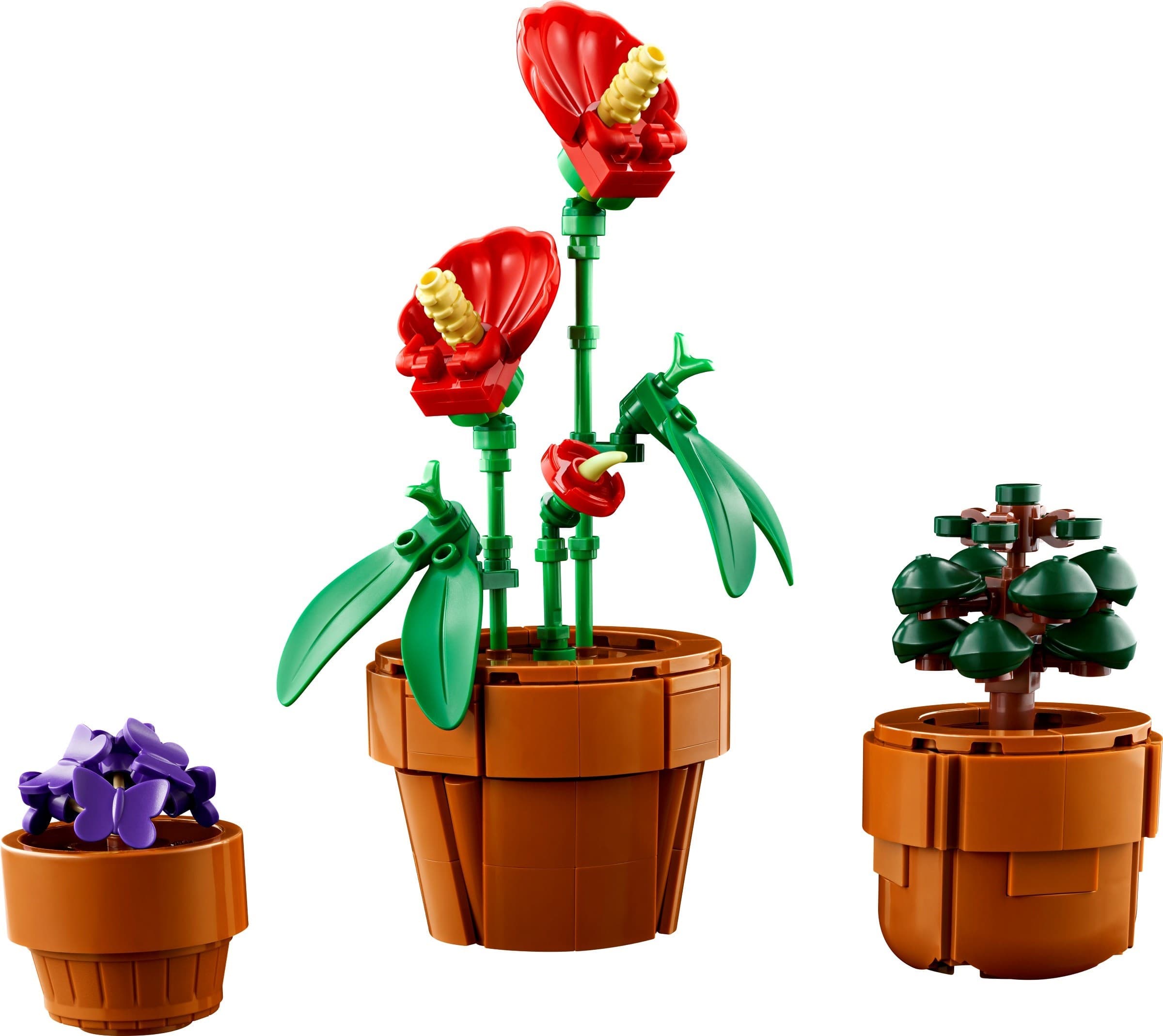 Tiny Plants