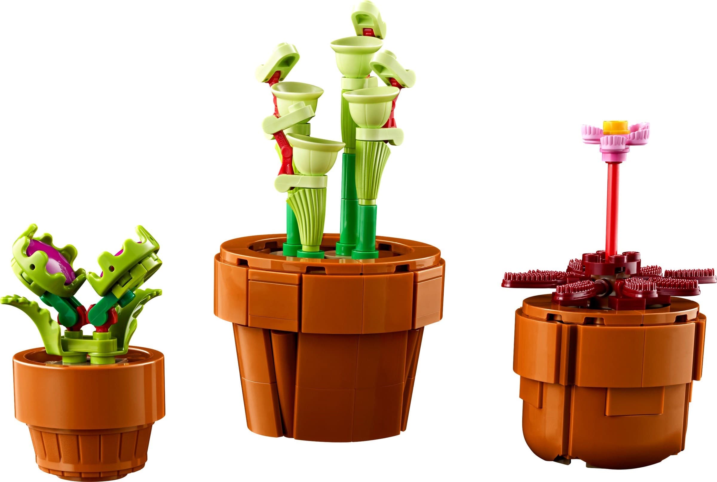 Tiny Plants