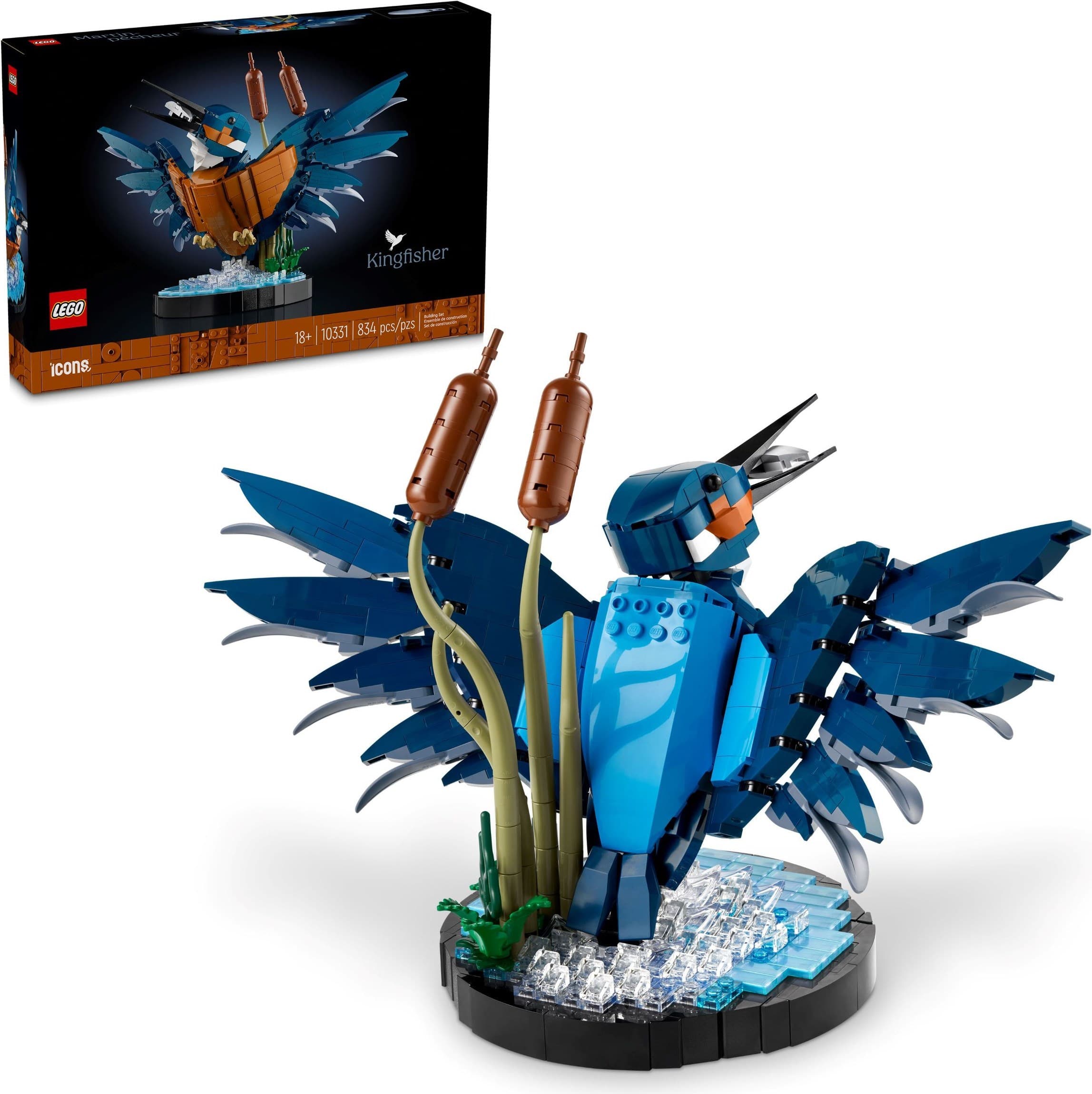 Kingfisher Bird