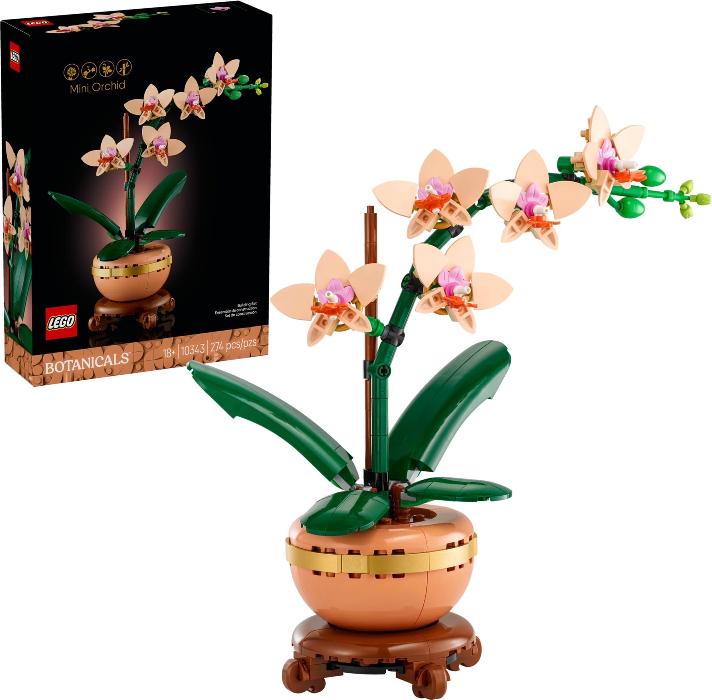 Mini Orchid