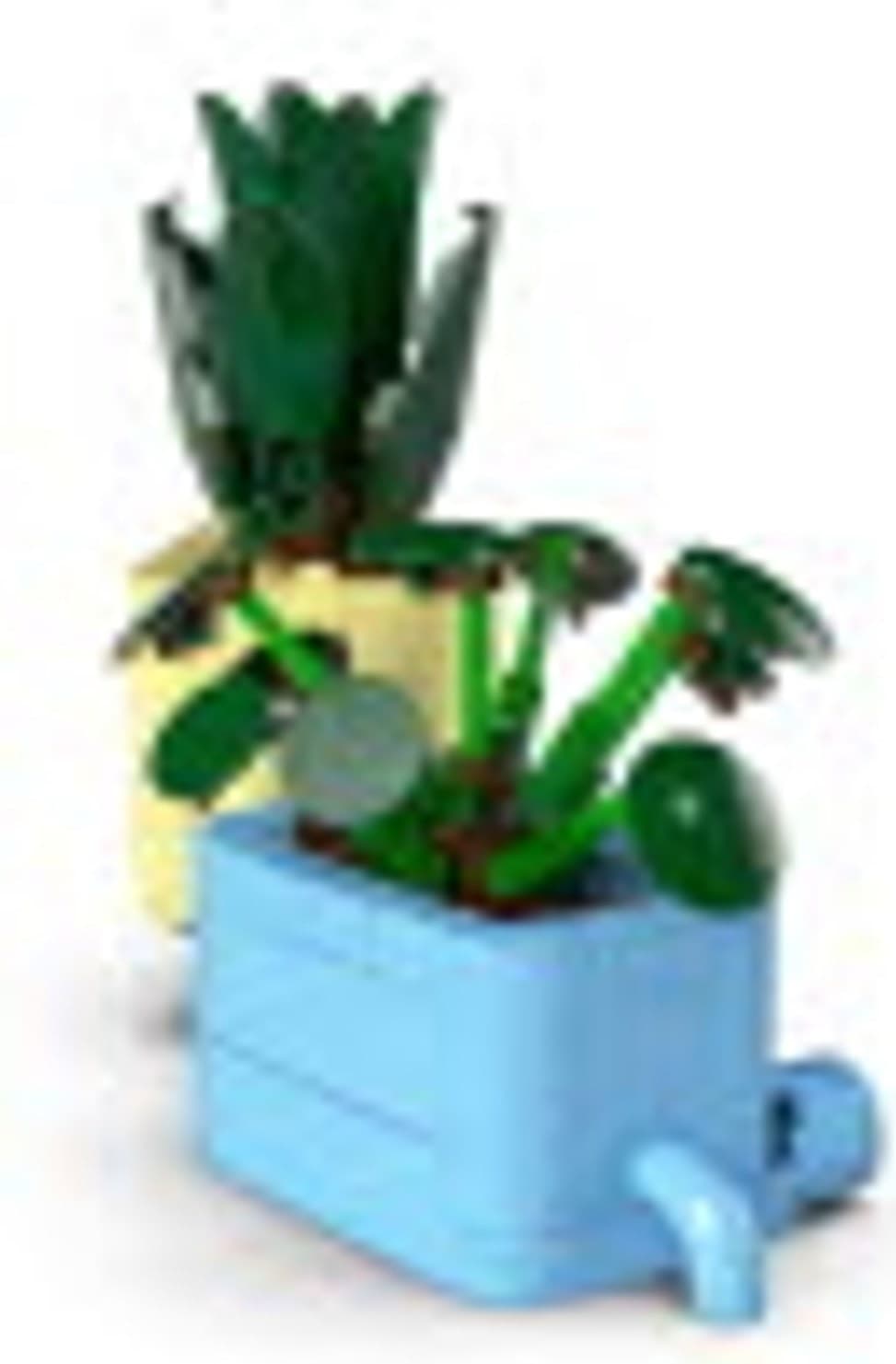 Happy Plants