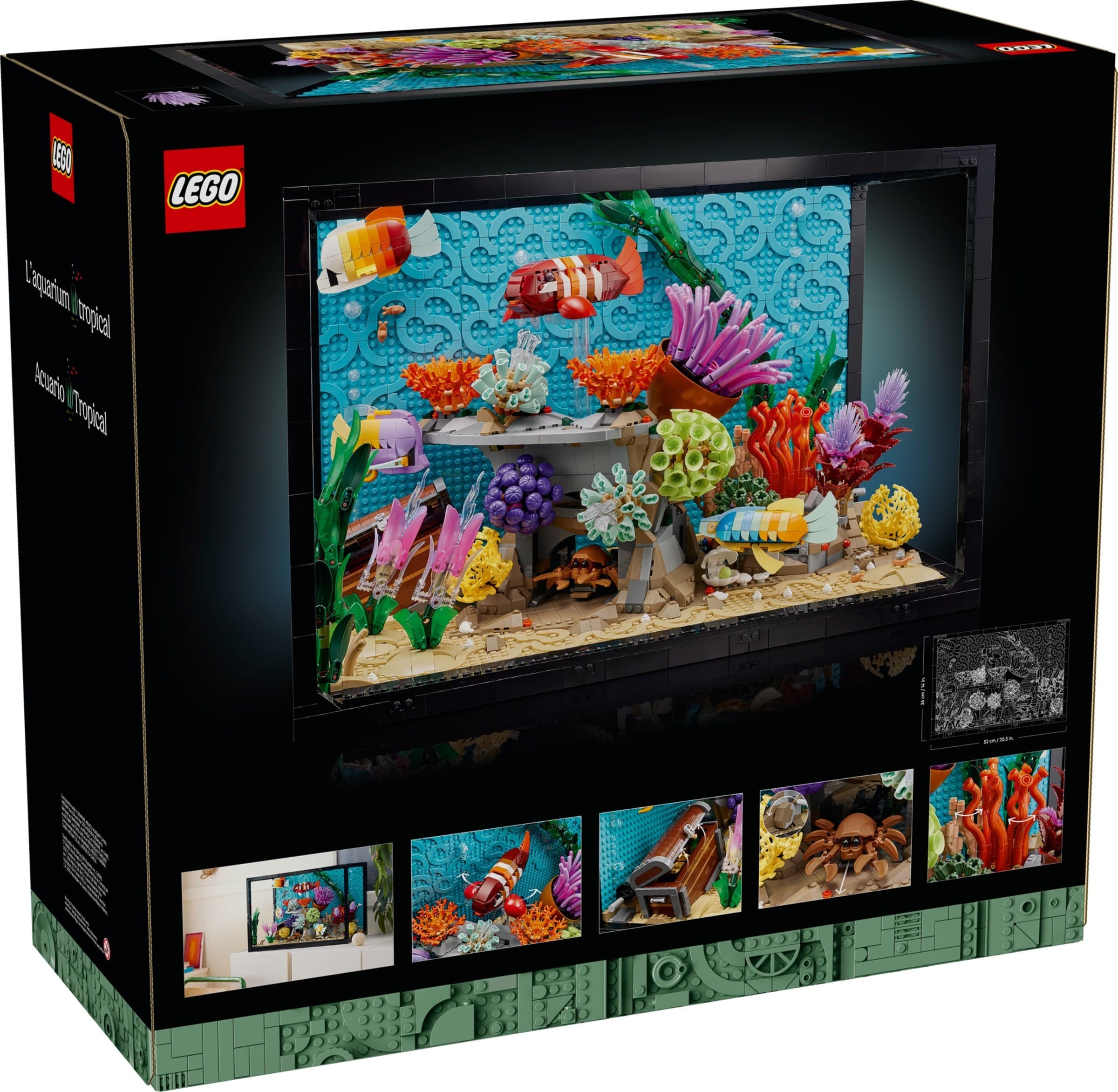 Tropical Aquarium