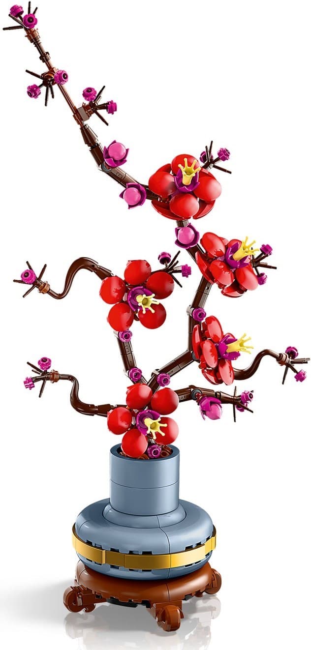 Plum Blossom