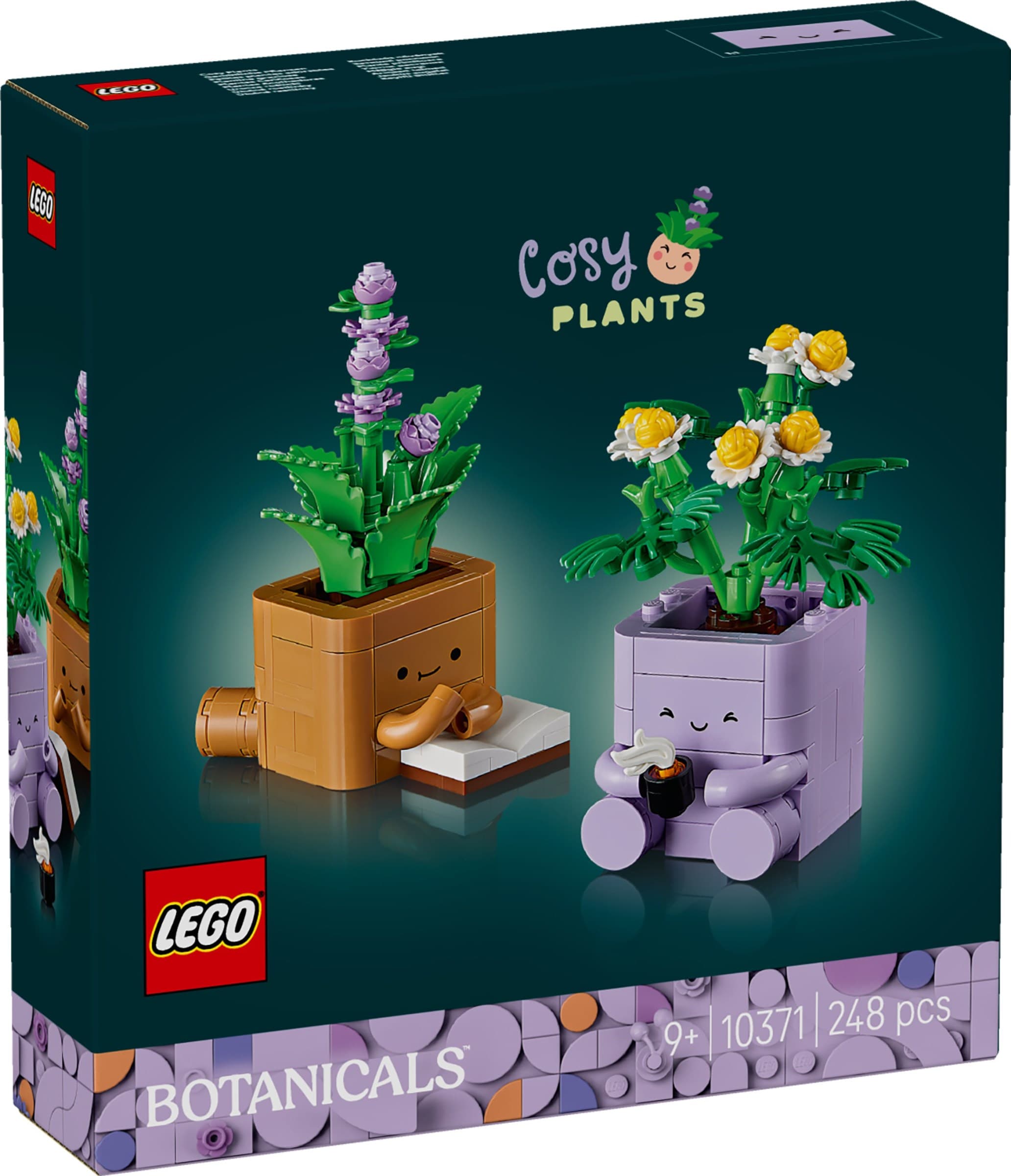 Cozy Plants