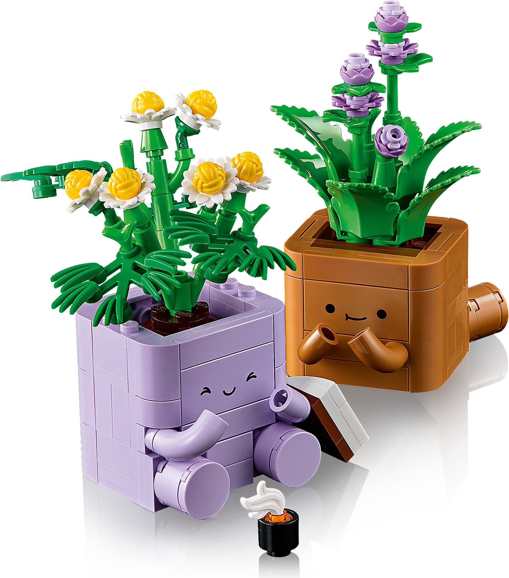 Cozy Plants