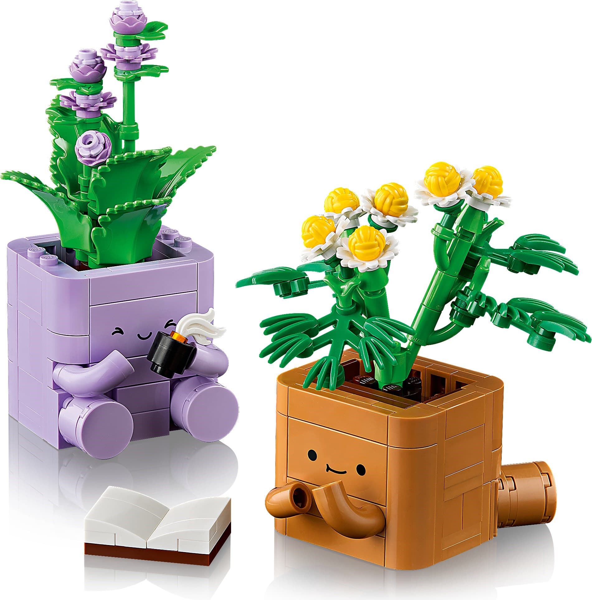 Cozy Plants