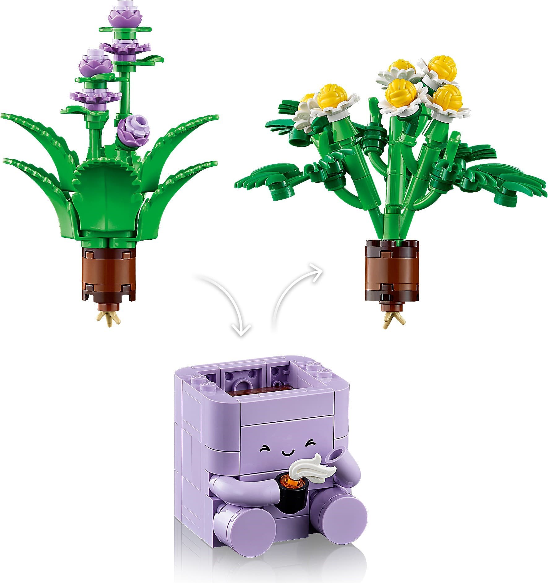 Cozy Plants