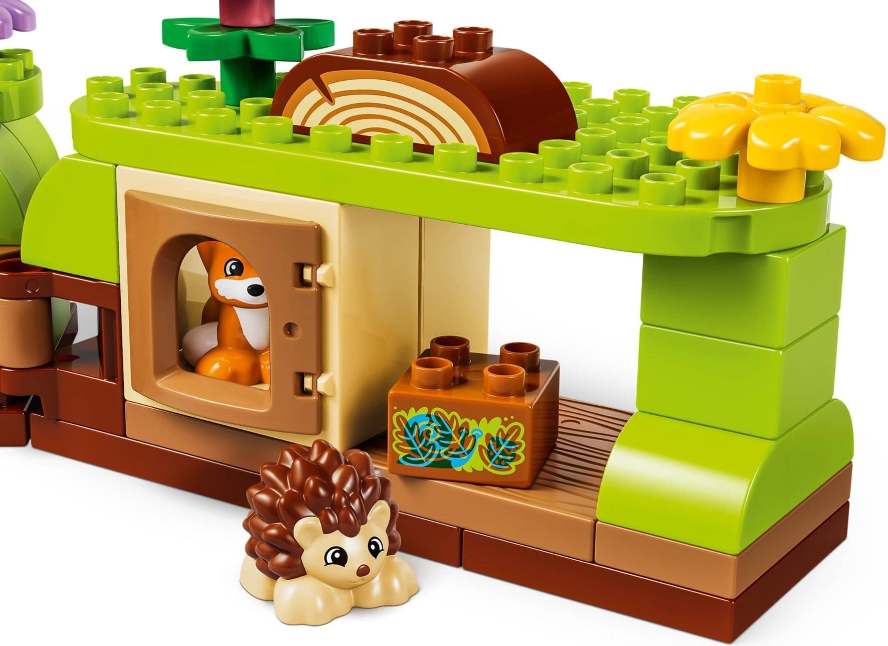 Discovery Forest with Wild Animals