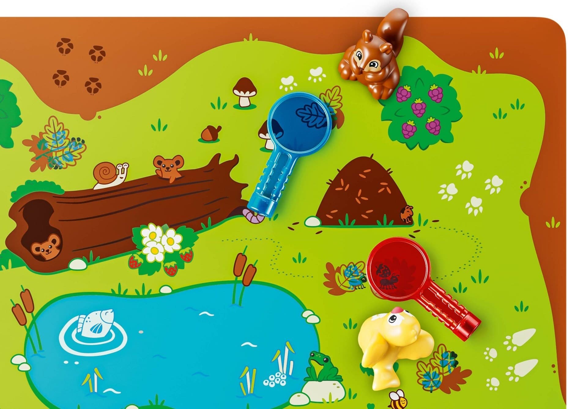 Discovery Forest with Wild Animals