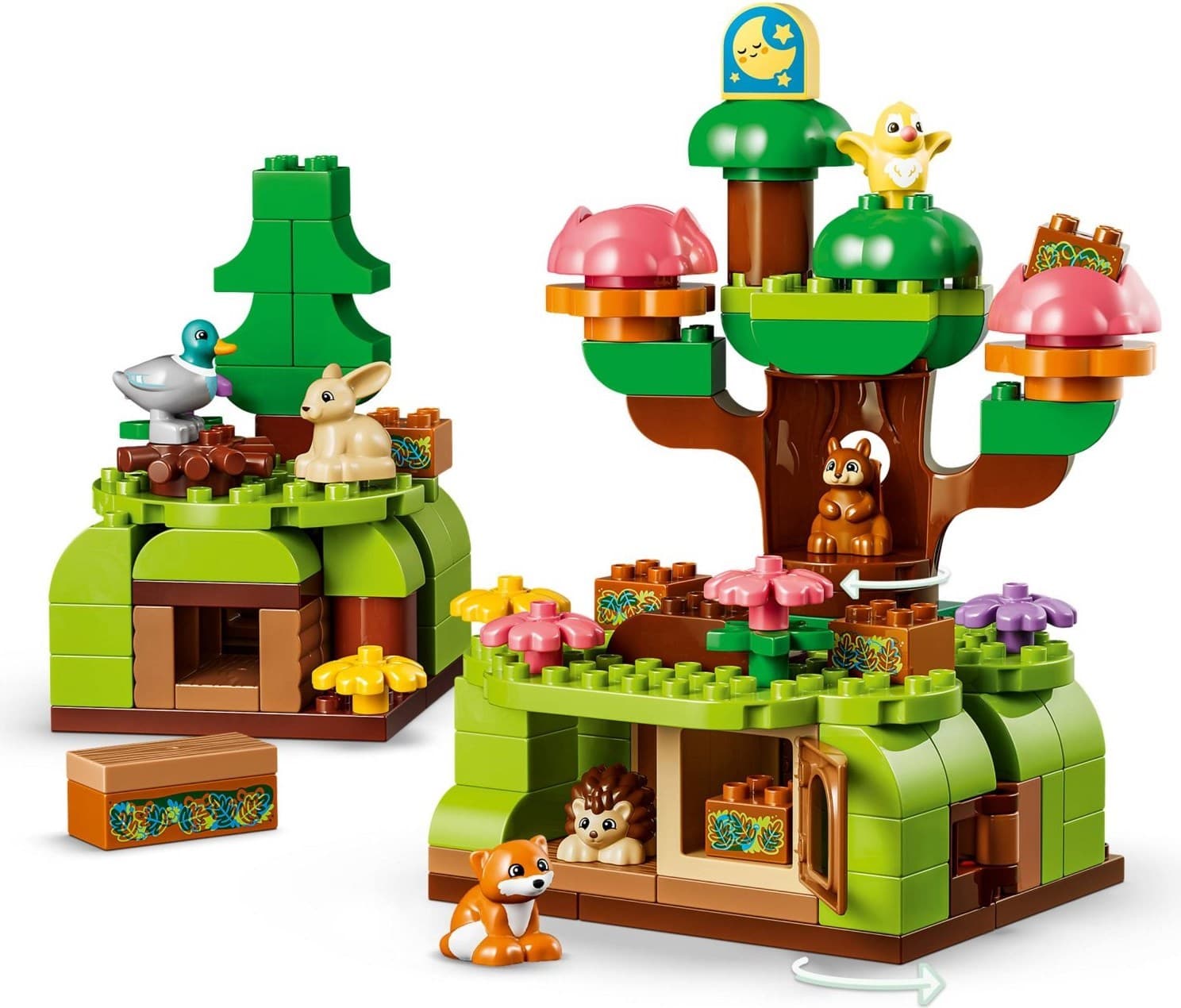 Discovery Forest with Wild Animals