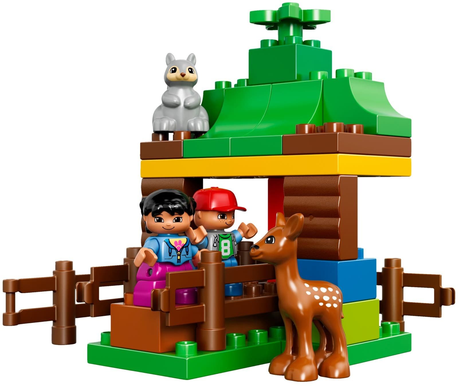 Forest: Animals