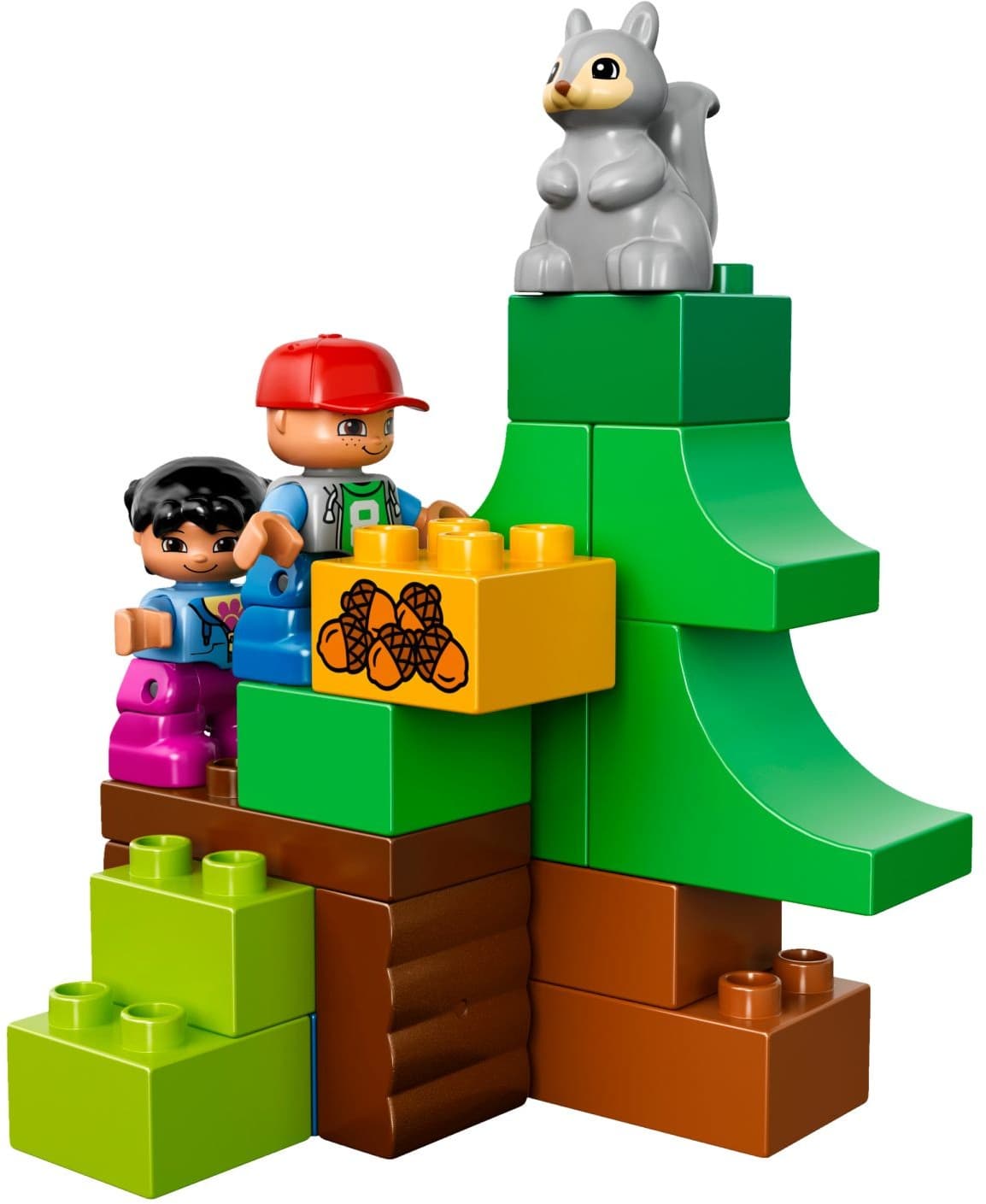 Forest: Animals