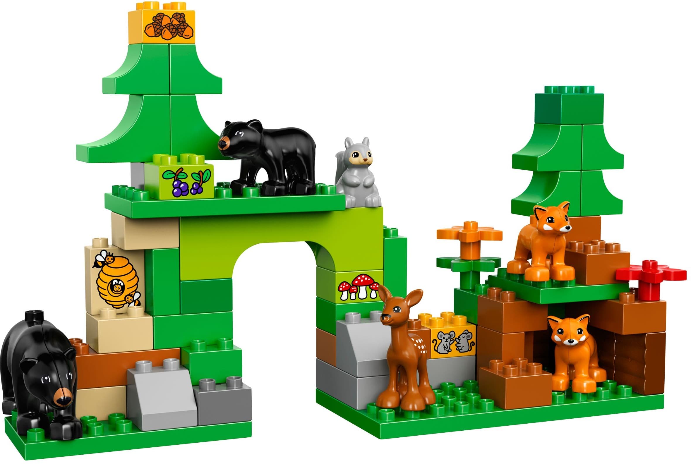 Forest: Park