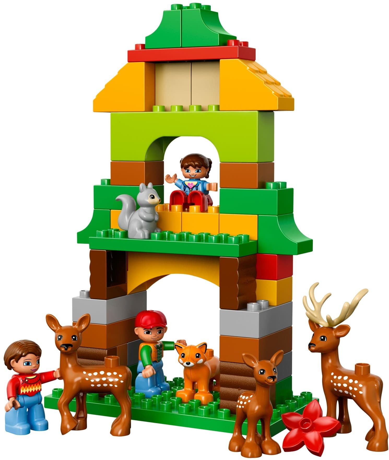 Forest: Park