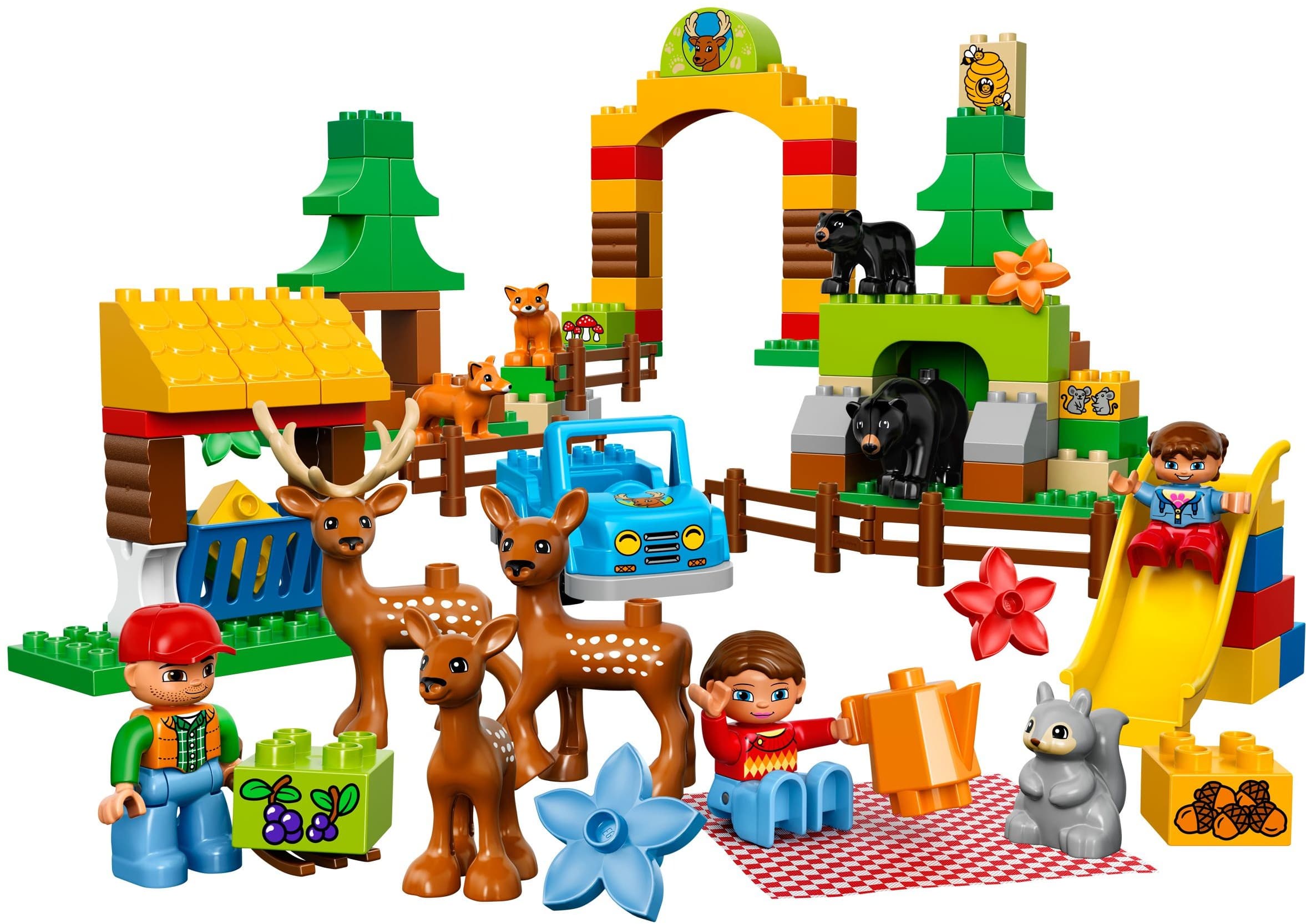 Forest: Park