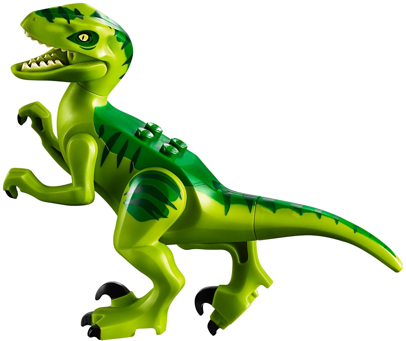 Raptor Rescue Truck