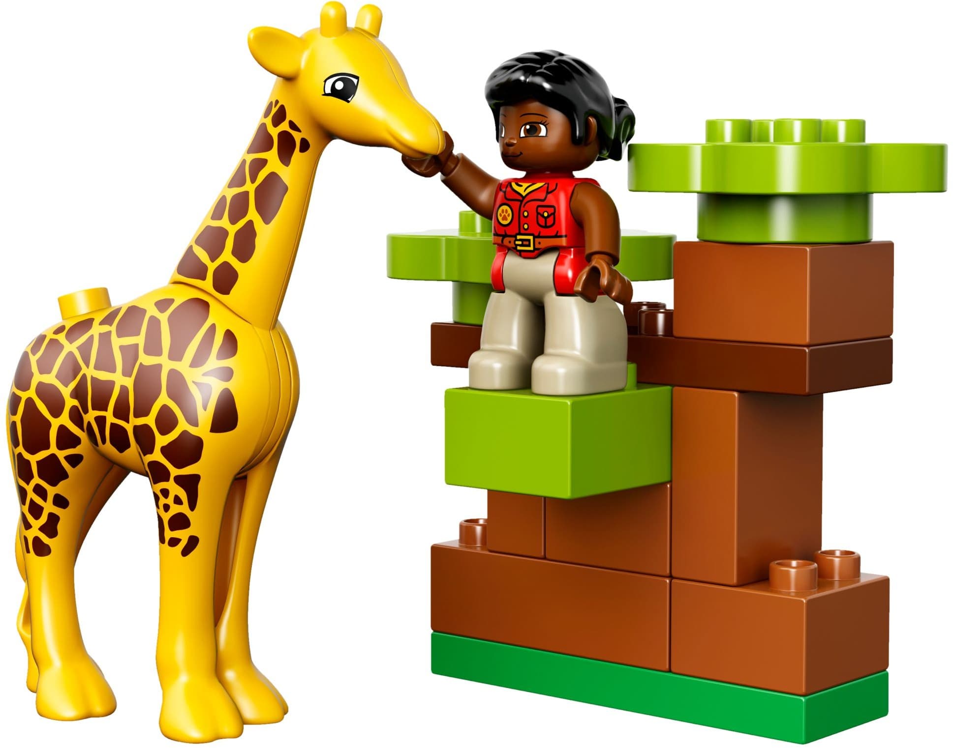 Savanna