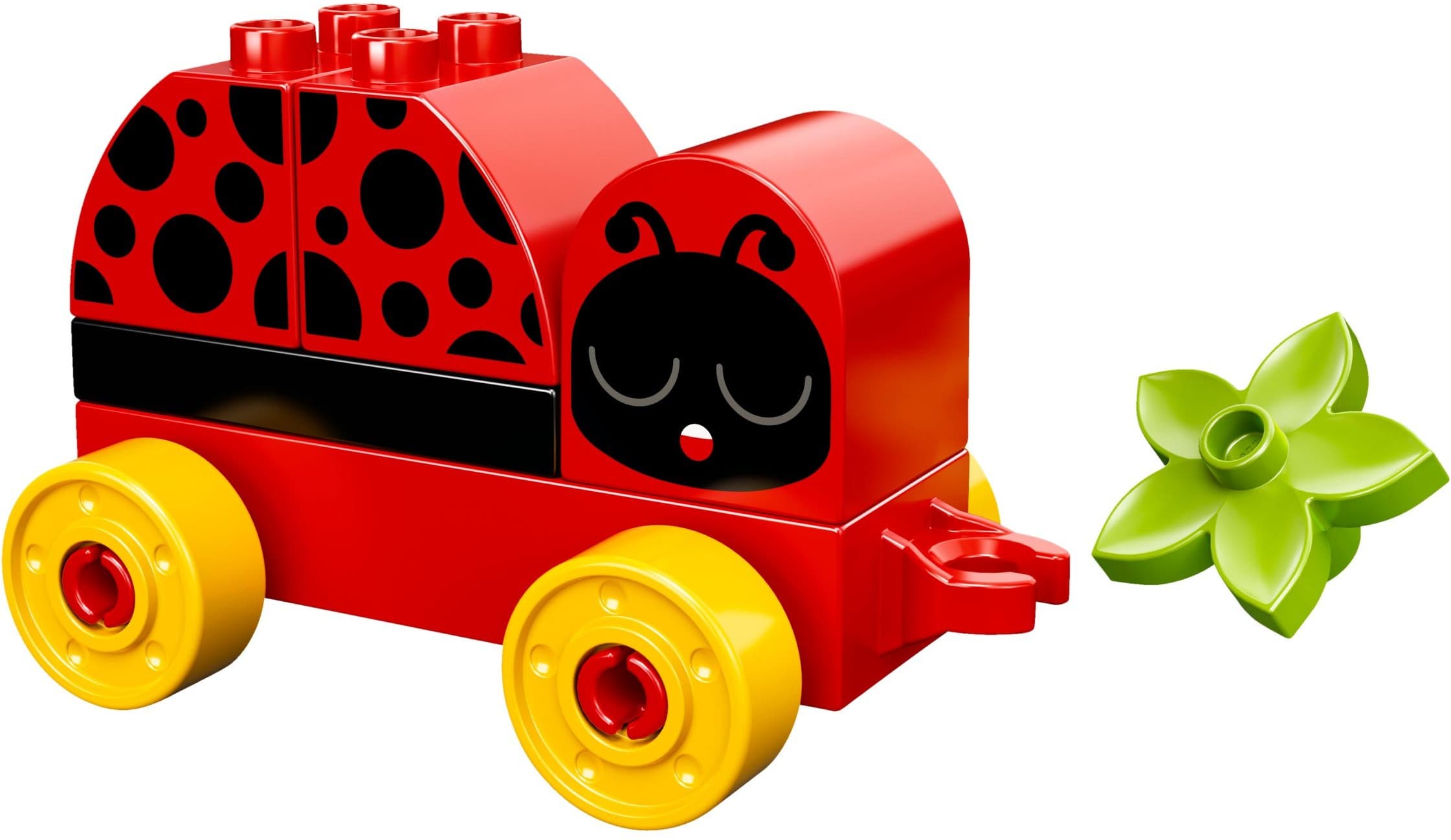My First Ladybug