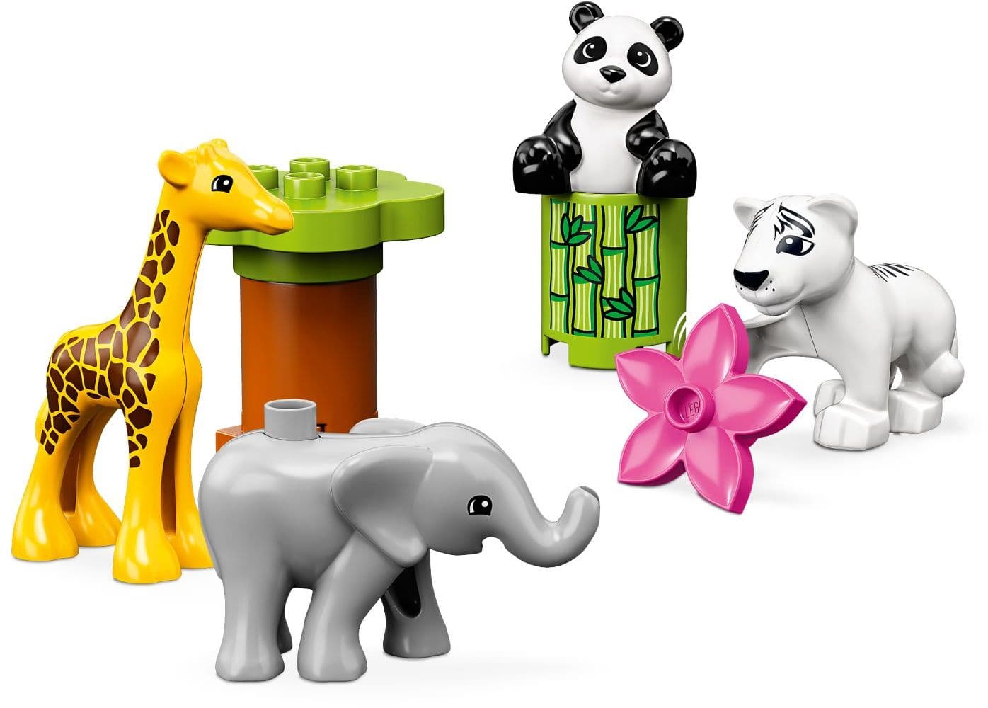 Baby Animals