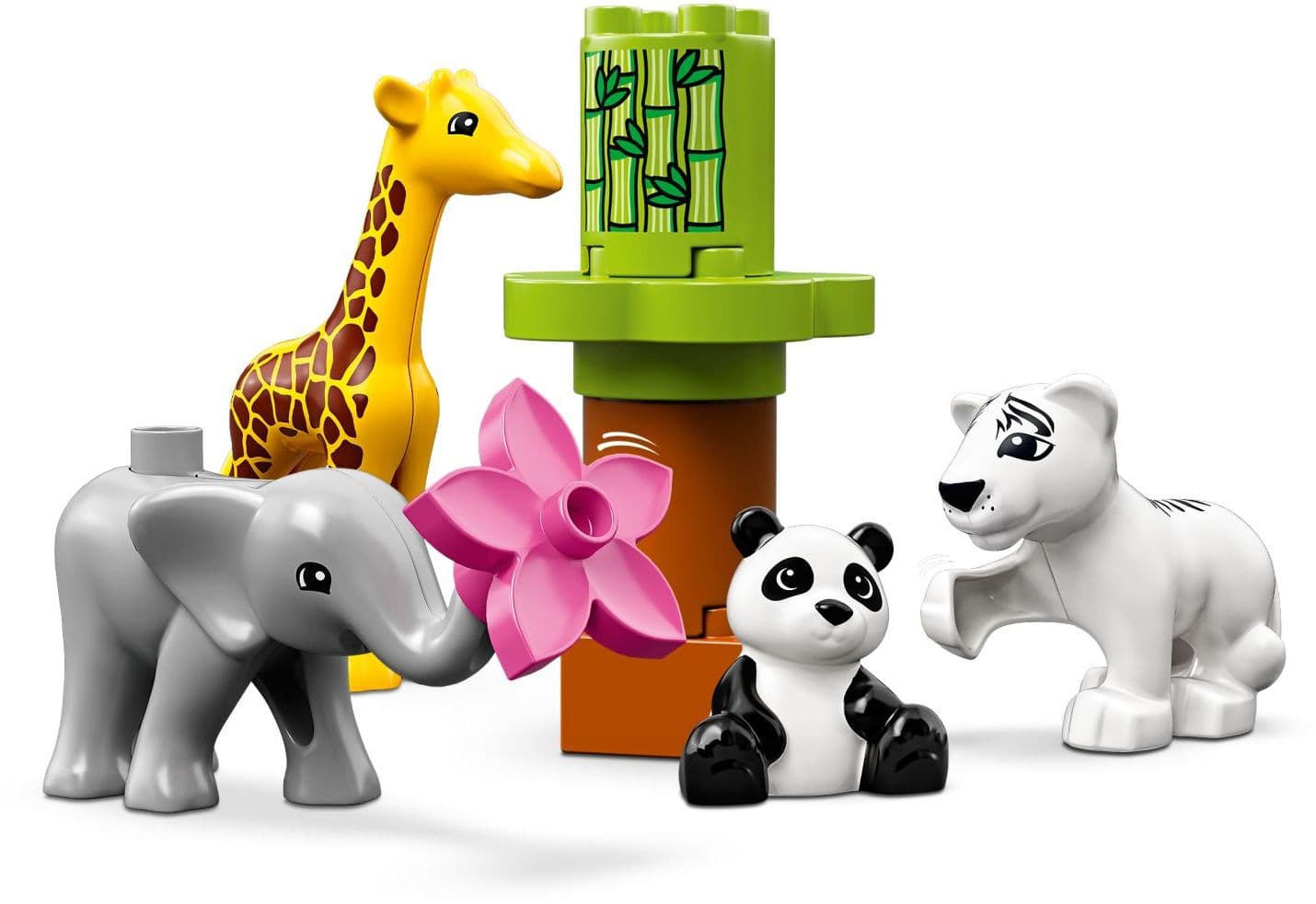 Baby Animals
