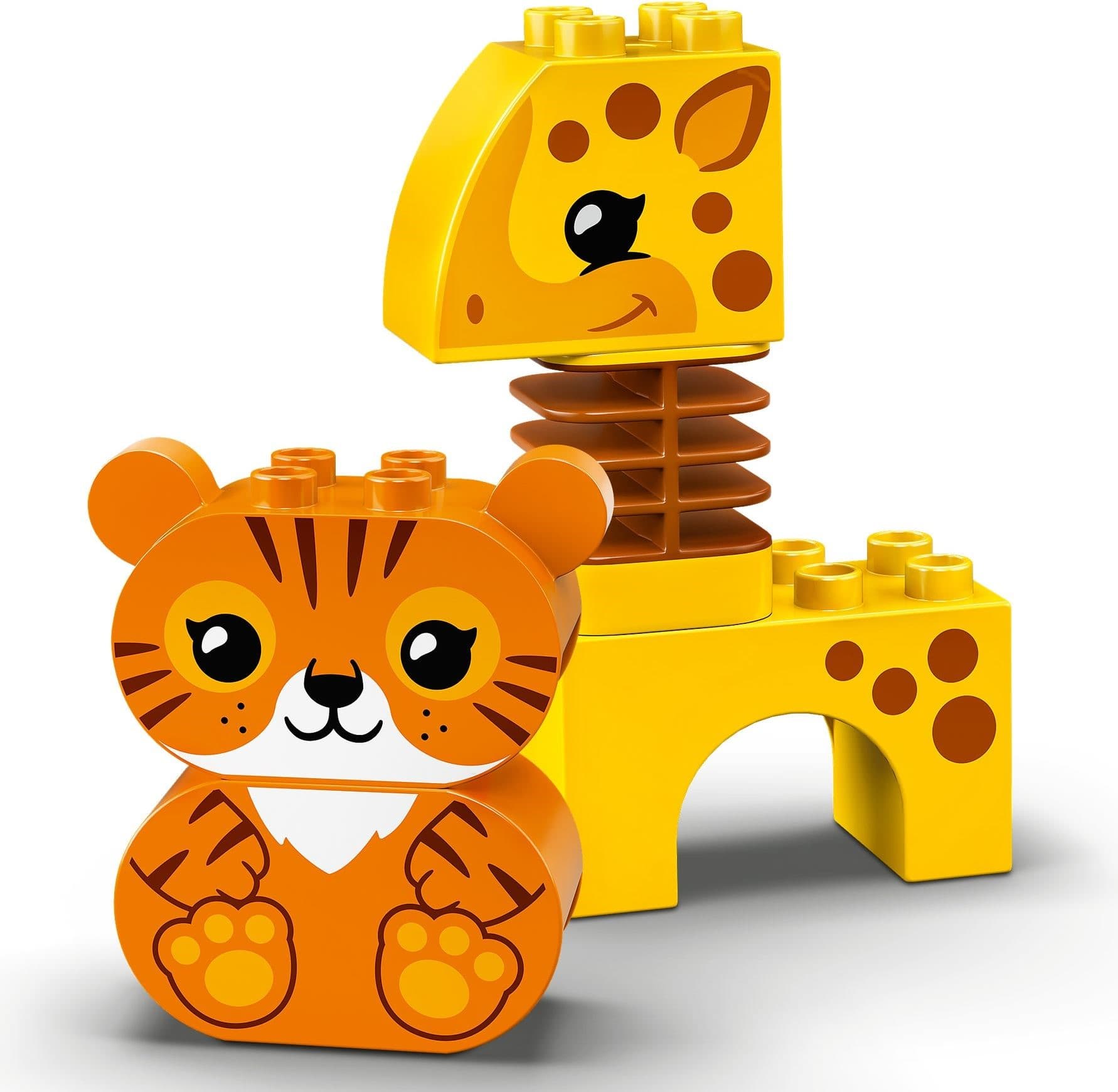 Animal Train