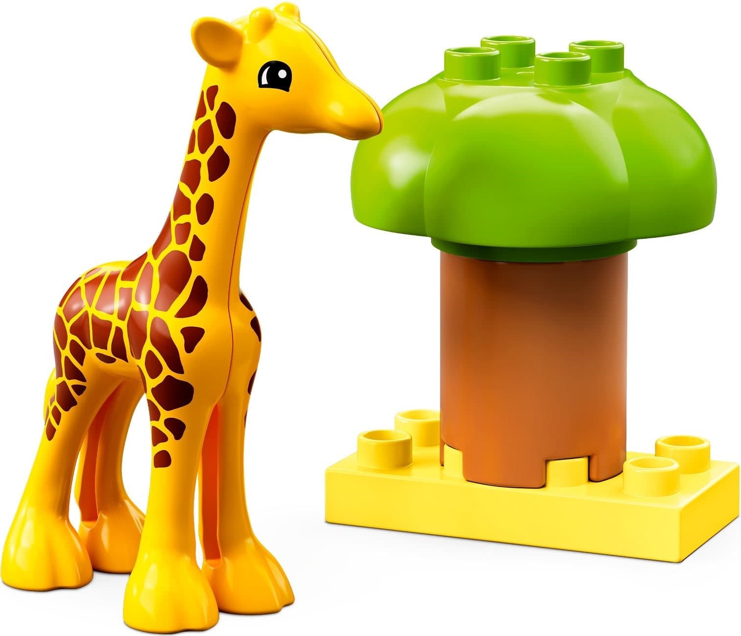 Wild Animals of Africa