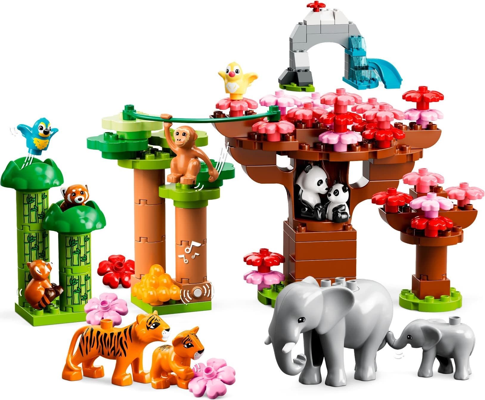 Wild Animals of Asia