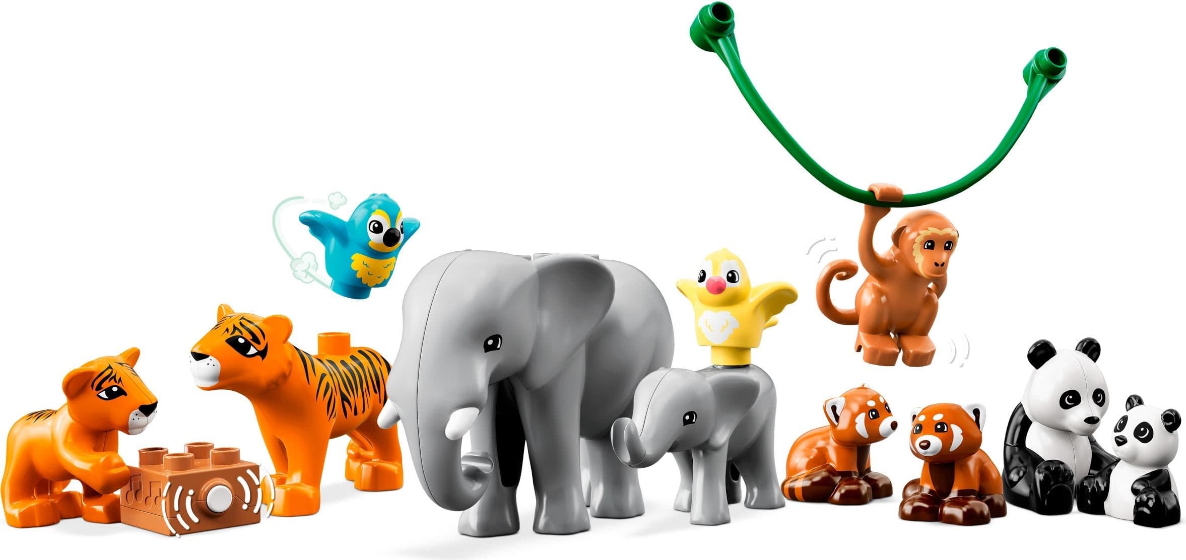 Wild Animals of Asia