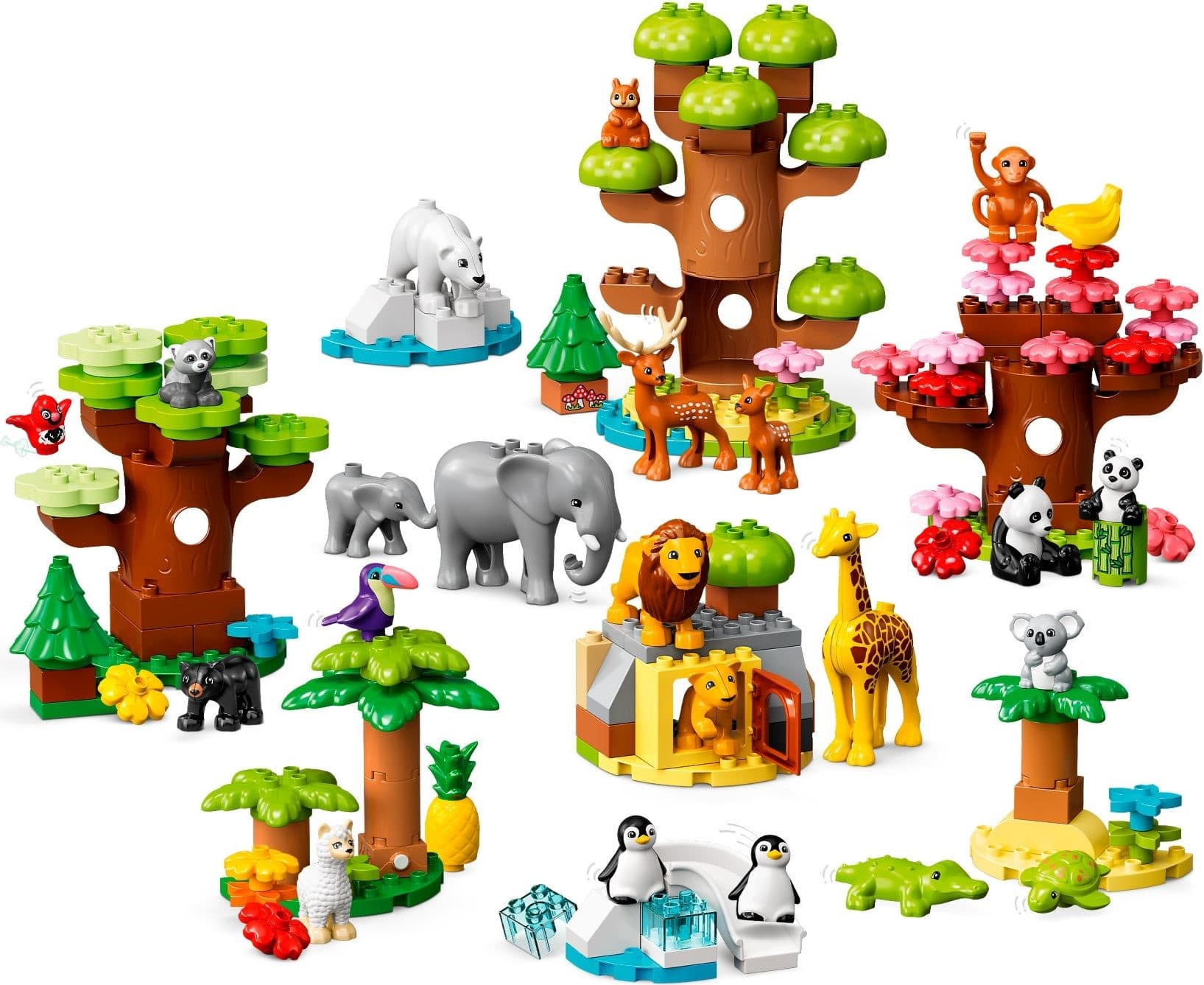Wild Animals of the World