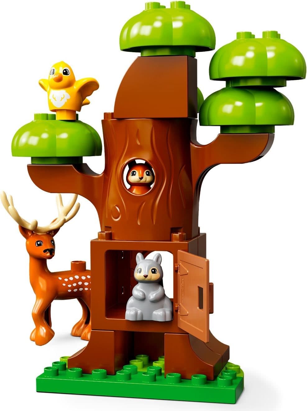 Wild Animals Of Europe