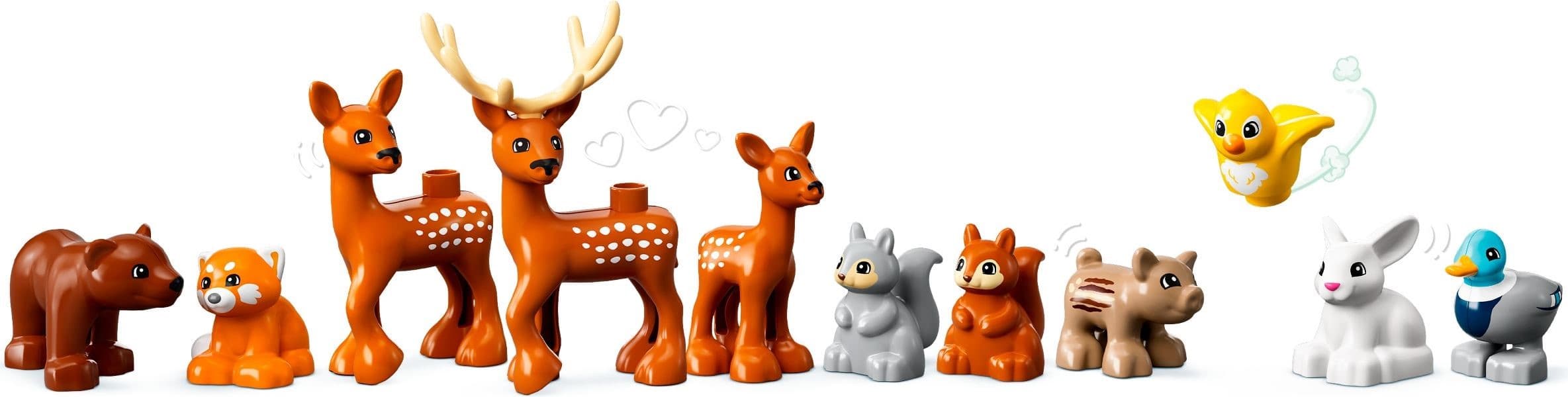 Wild Animals Of Europe