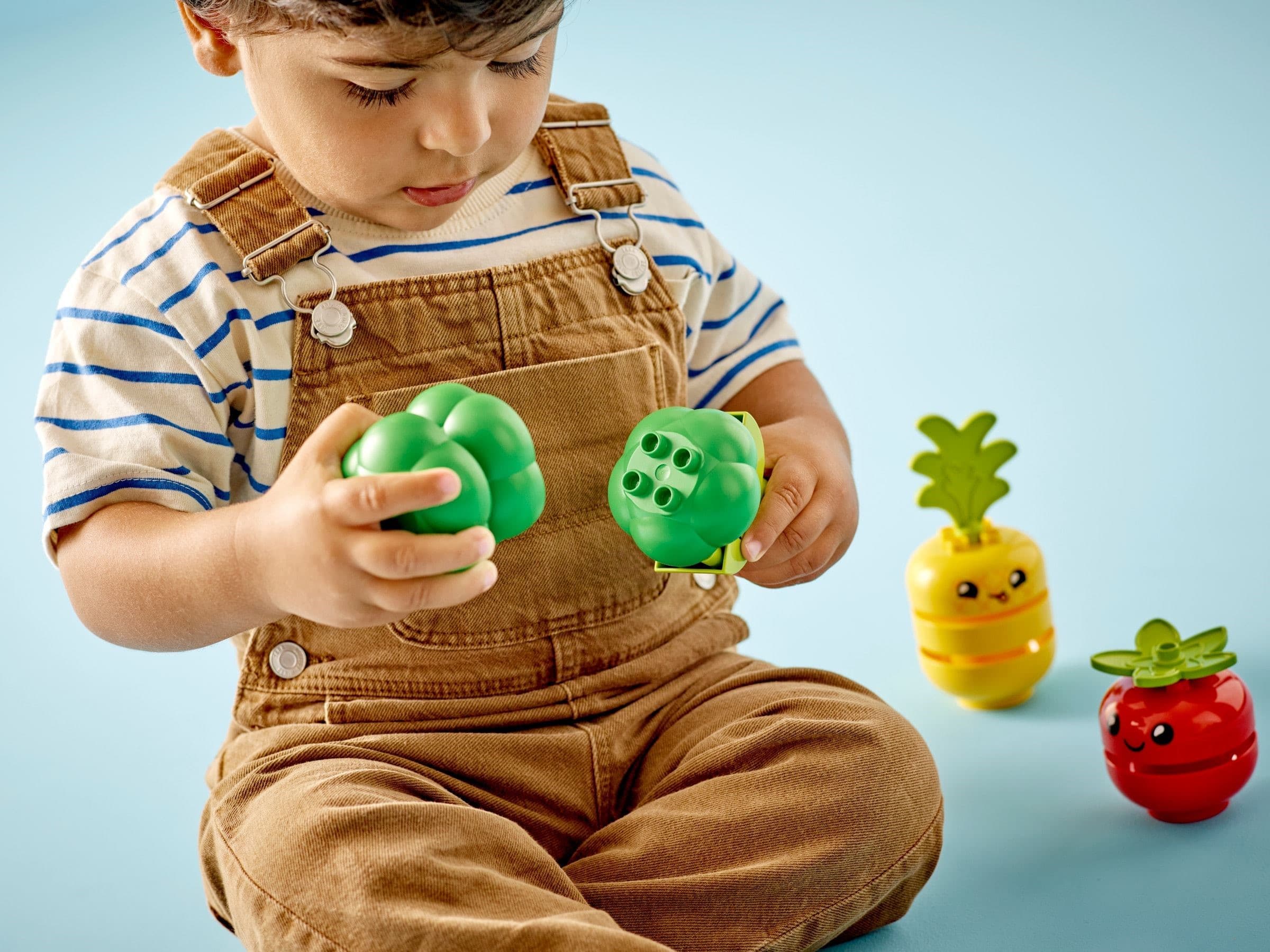 Fruit and Vegetable Tractor