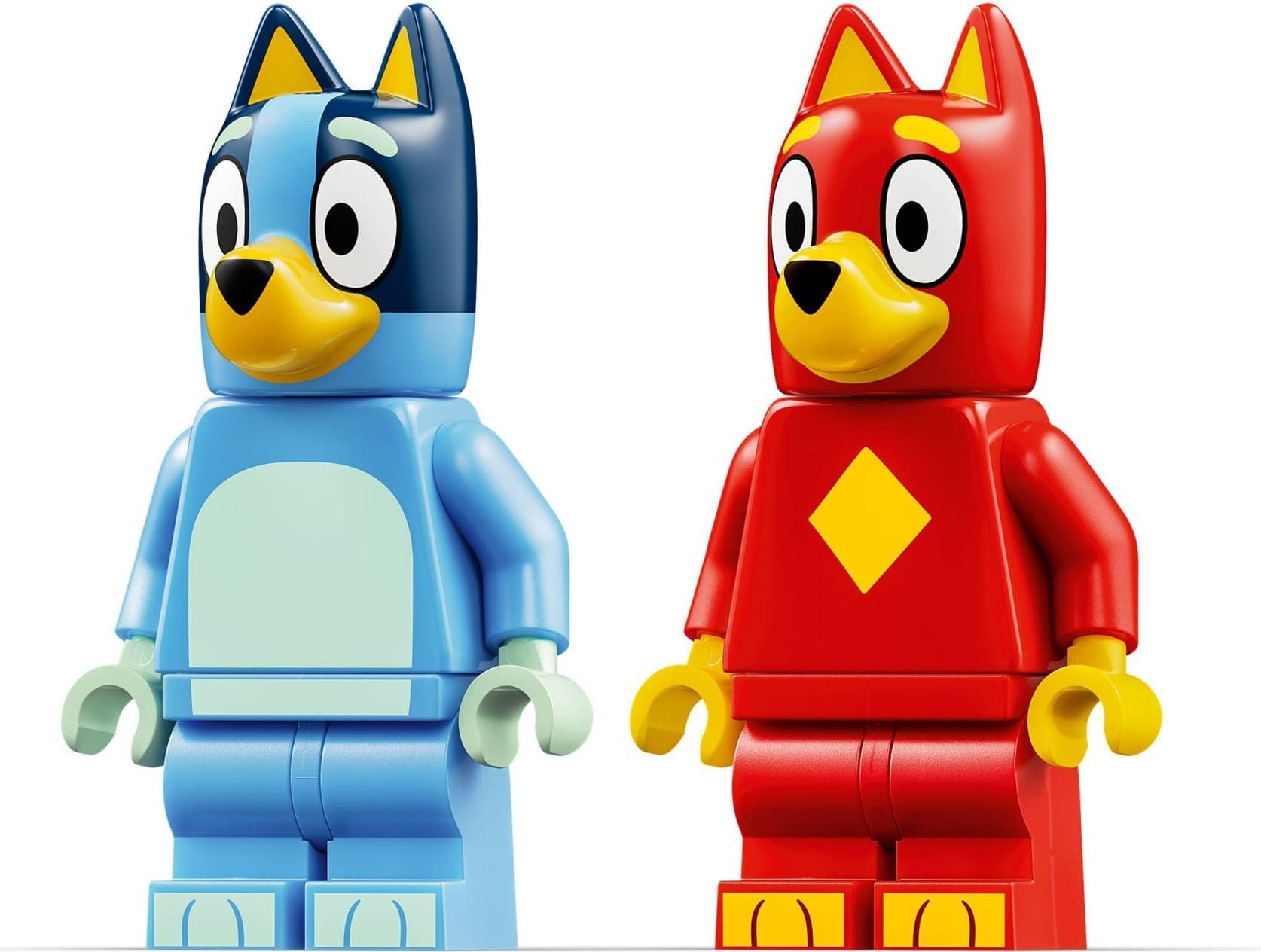 School with Rusty and Bluey