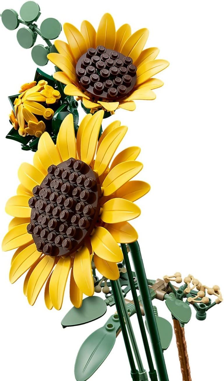Sunflower Bouquet