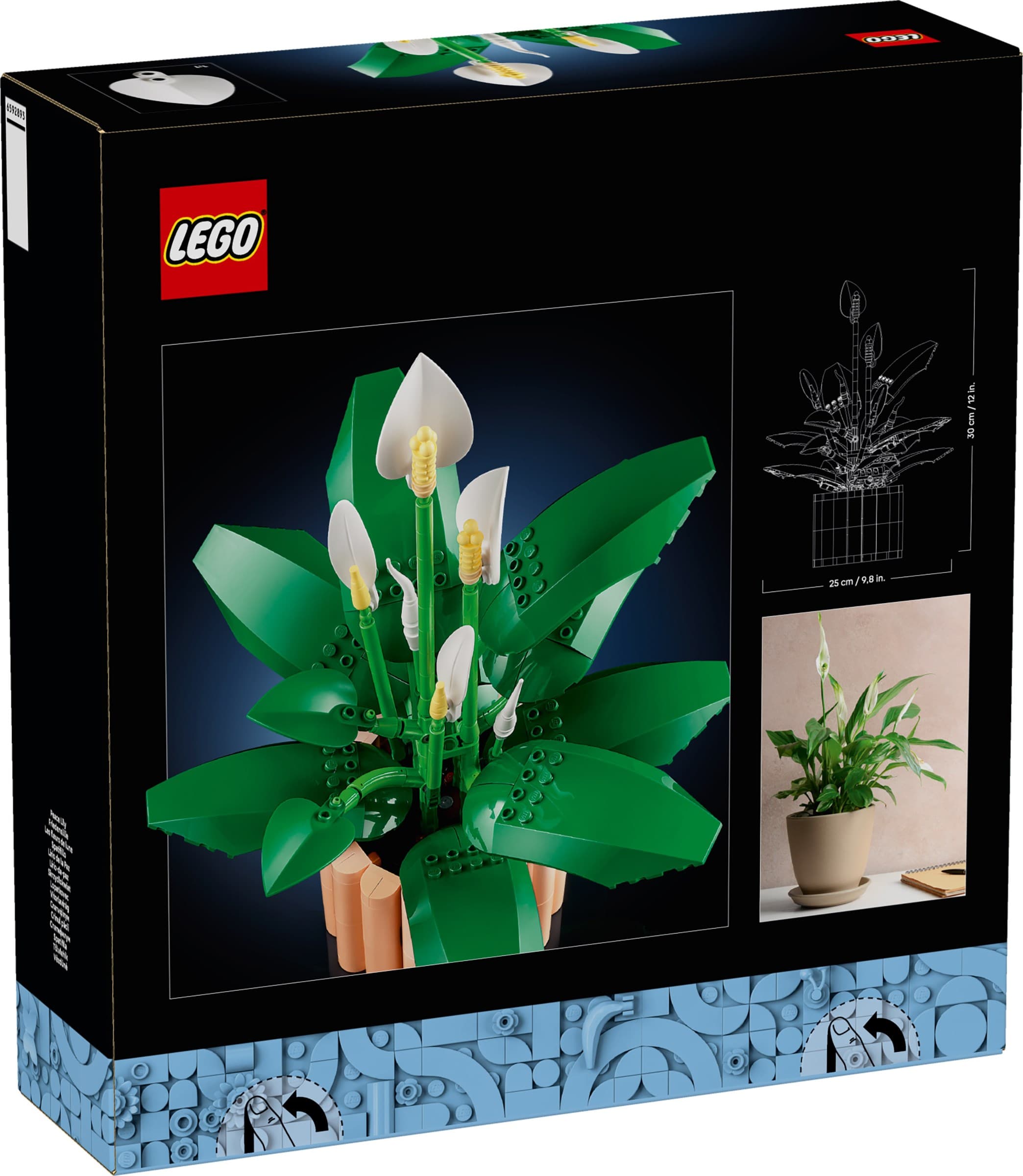 Peace Lily